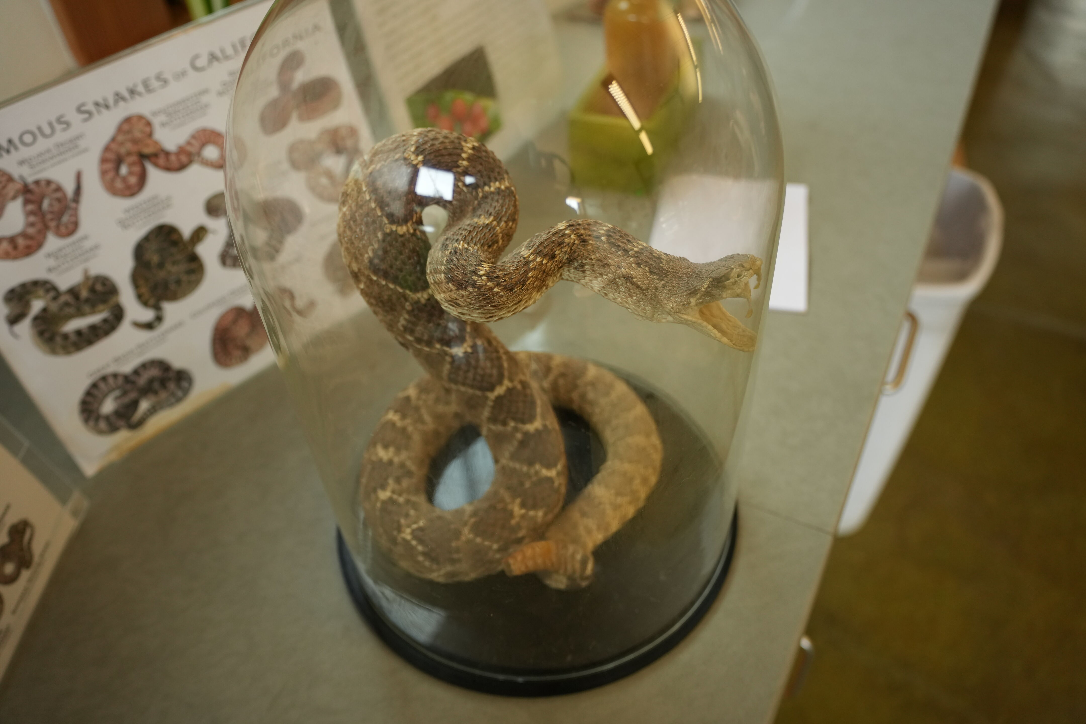 McClellan Ranch Preserve