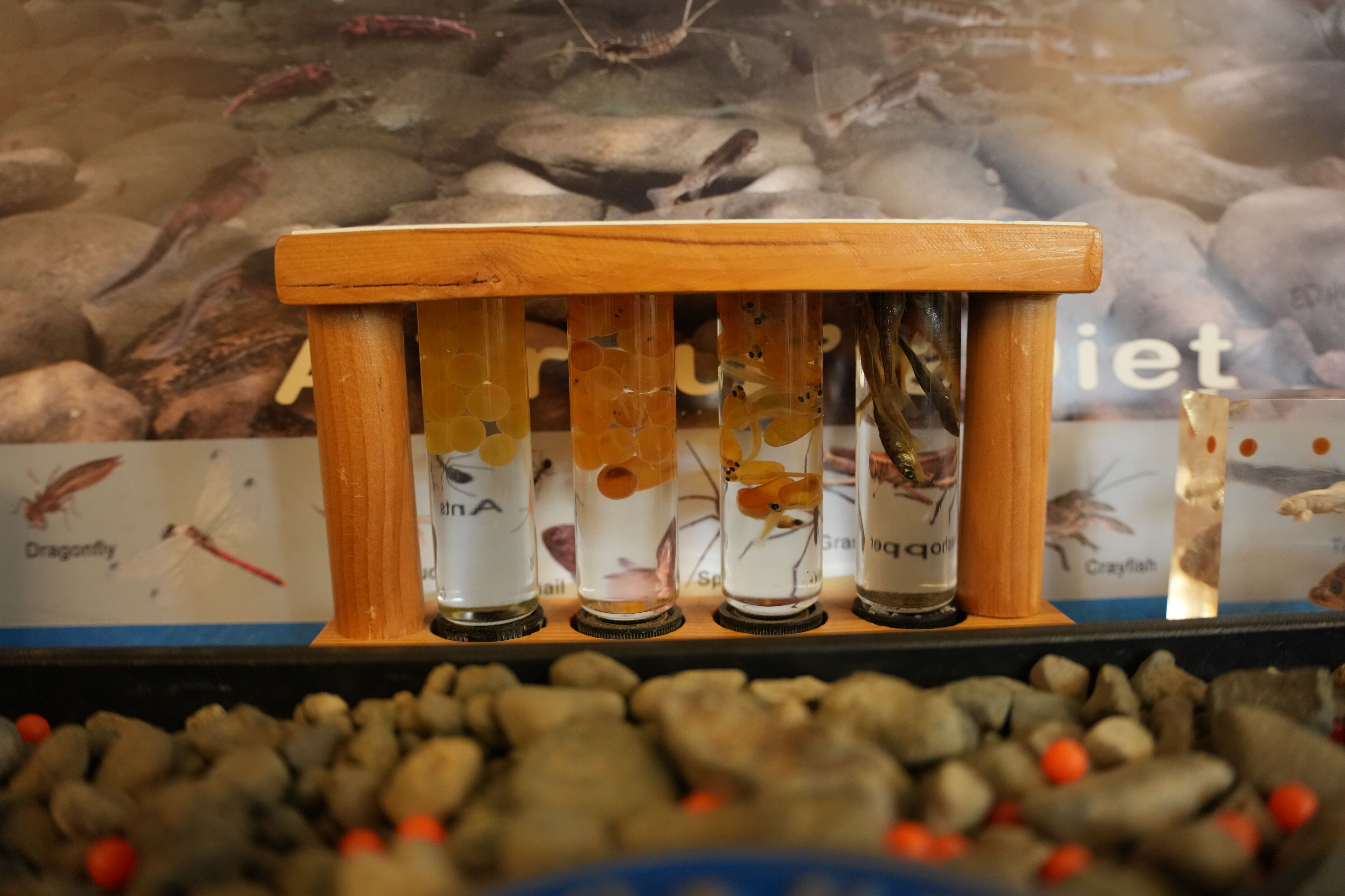 McClellan Ranch Preserve