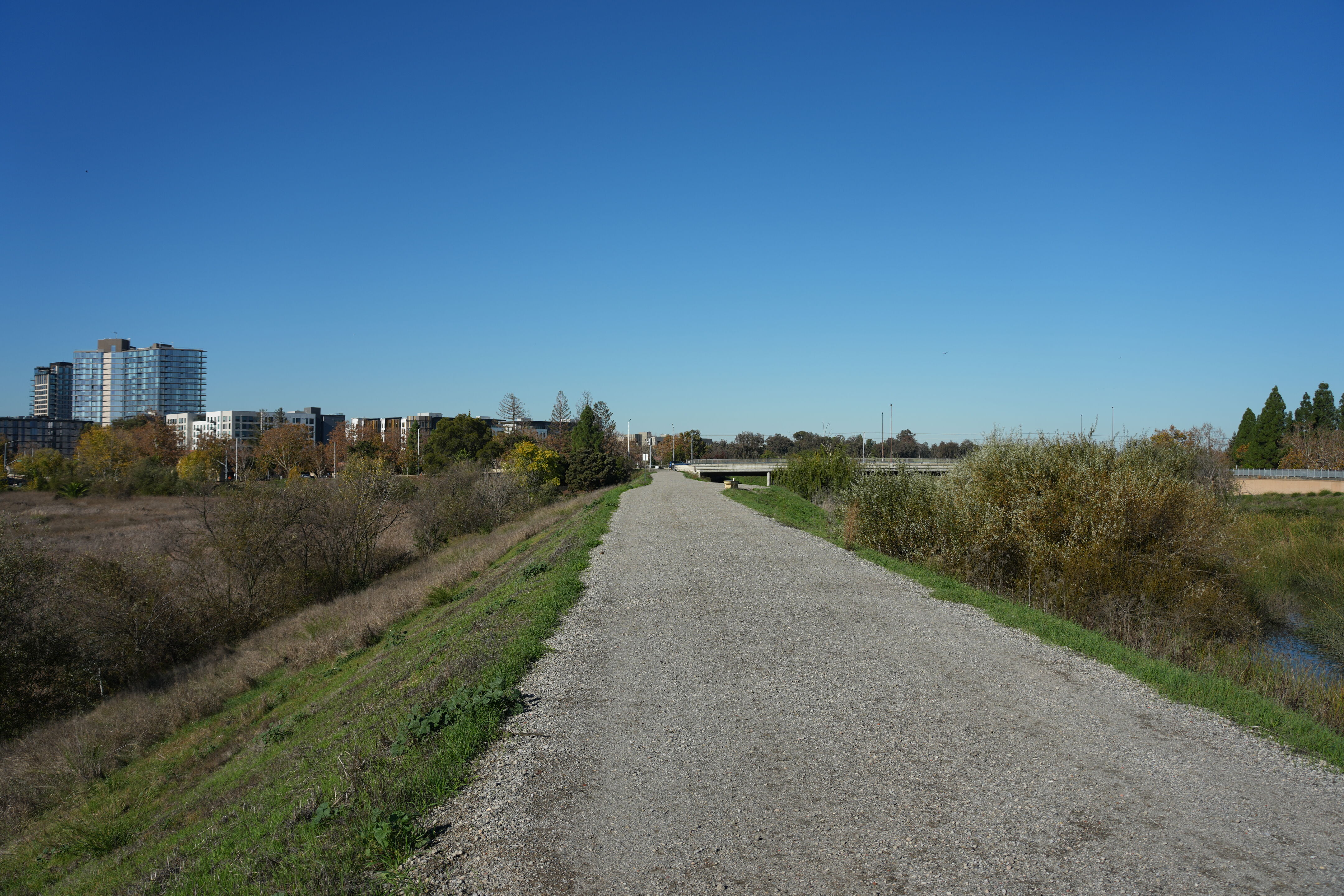 Lower Guadalupe River Trail North