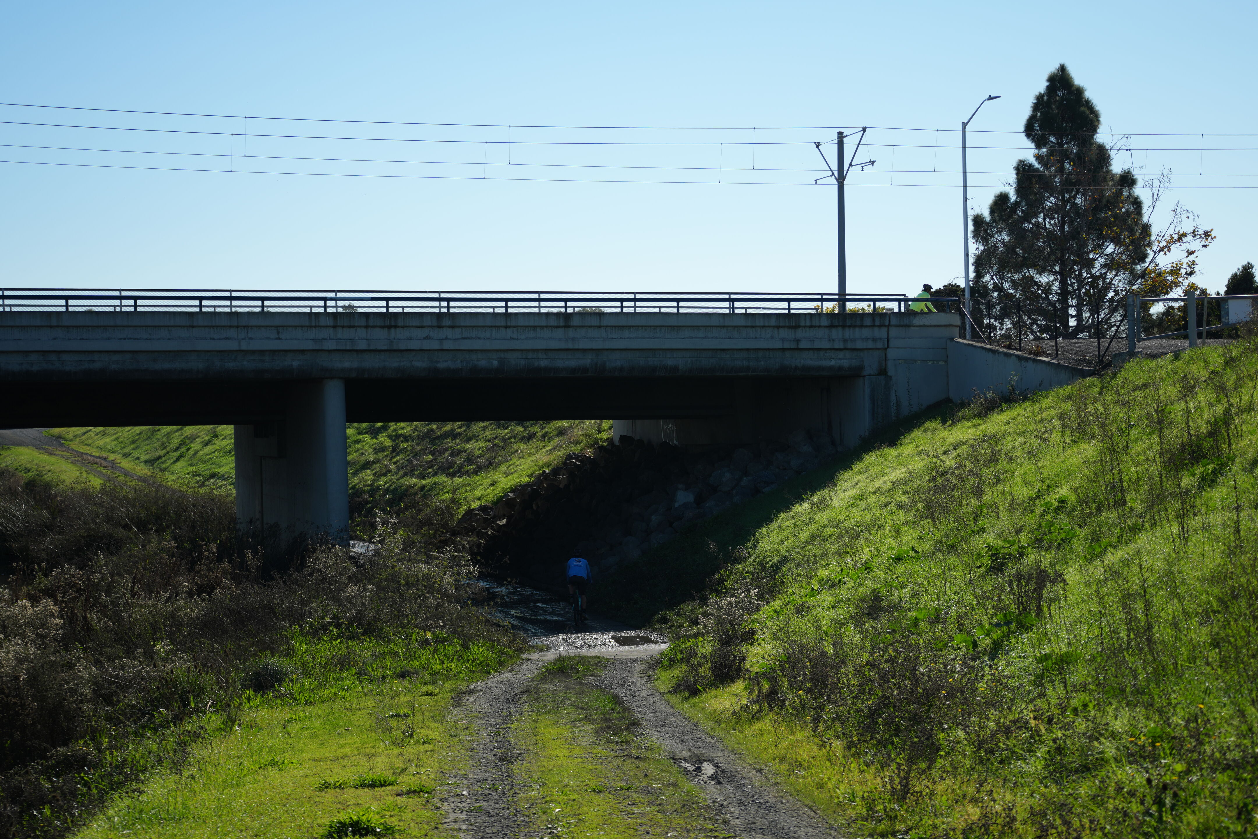 Lower Guadalupe River Trail North