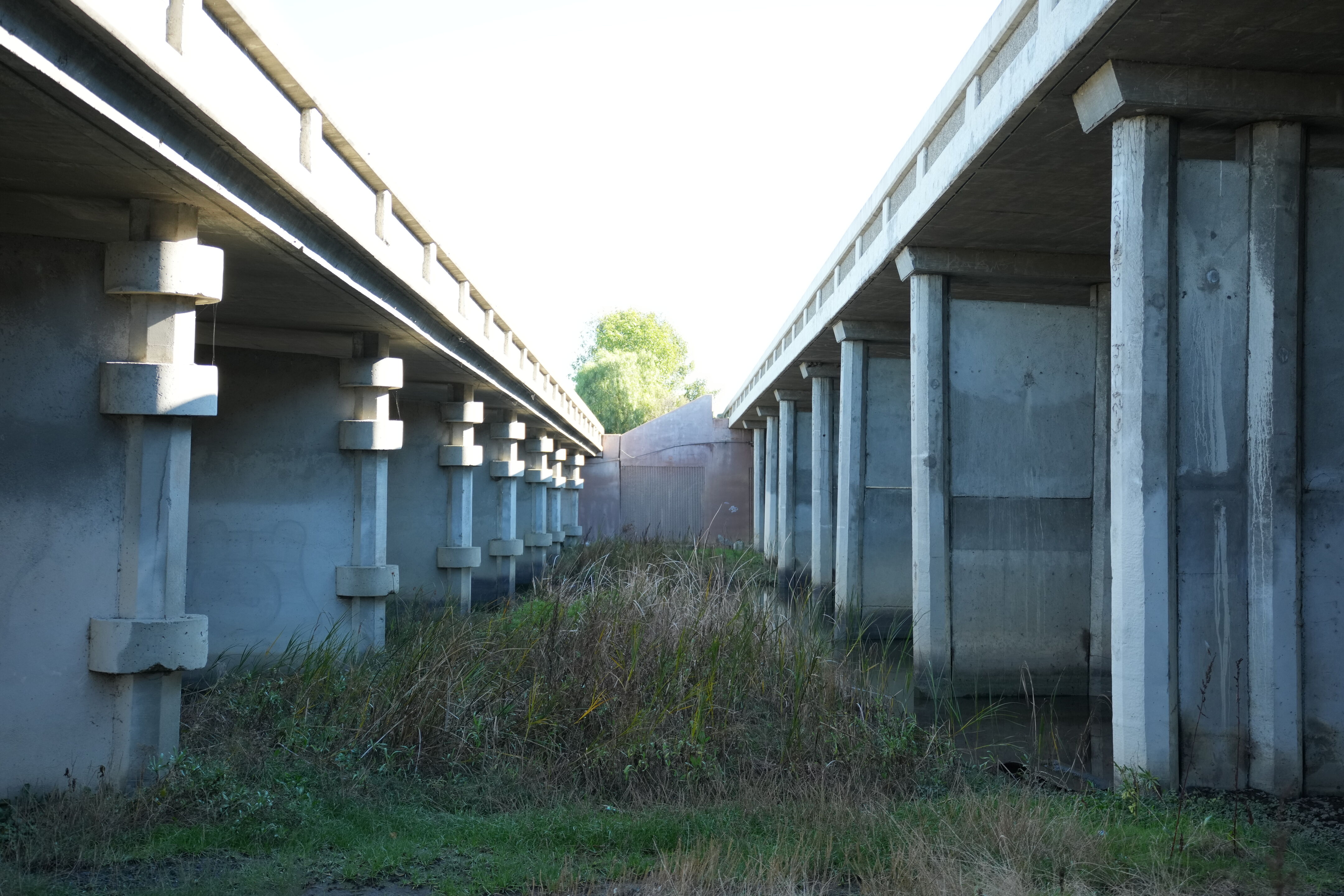 Lower Guadalupe River Trail North
