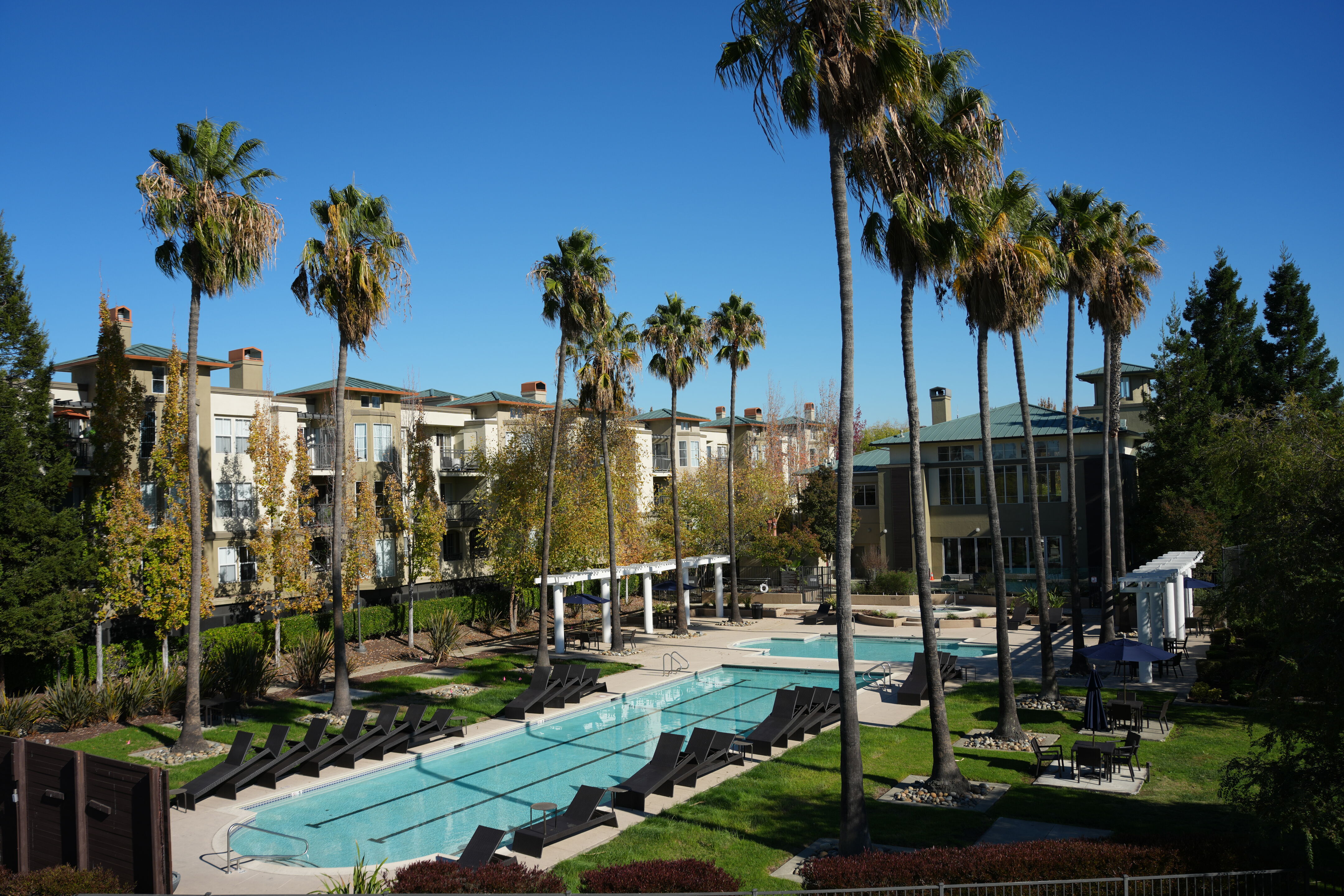 Lower Guadalupe River Trail North