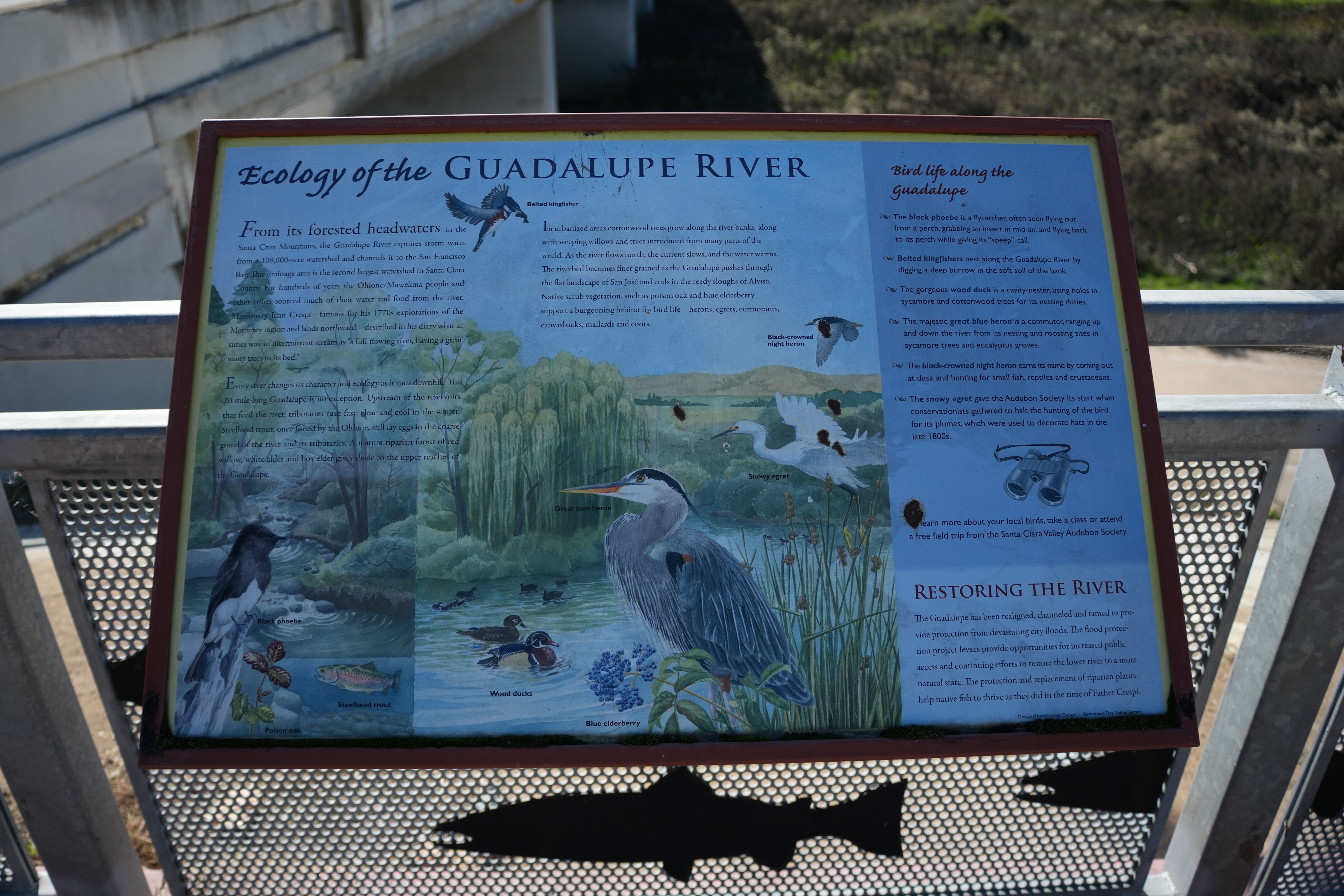 Lower Guadalupe River Trail North