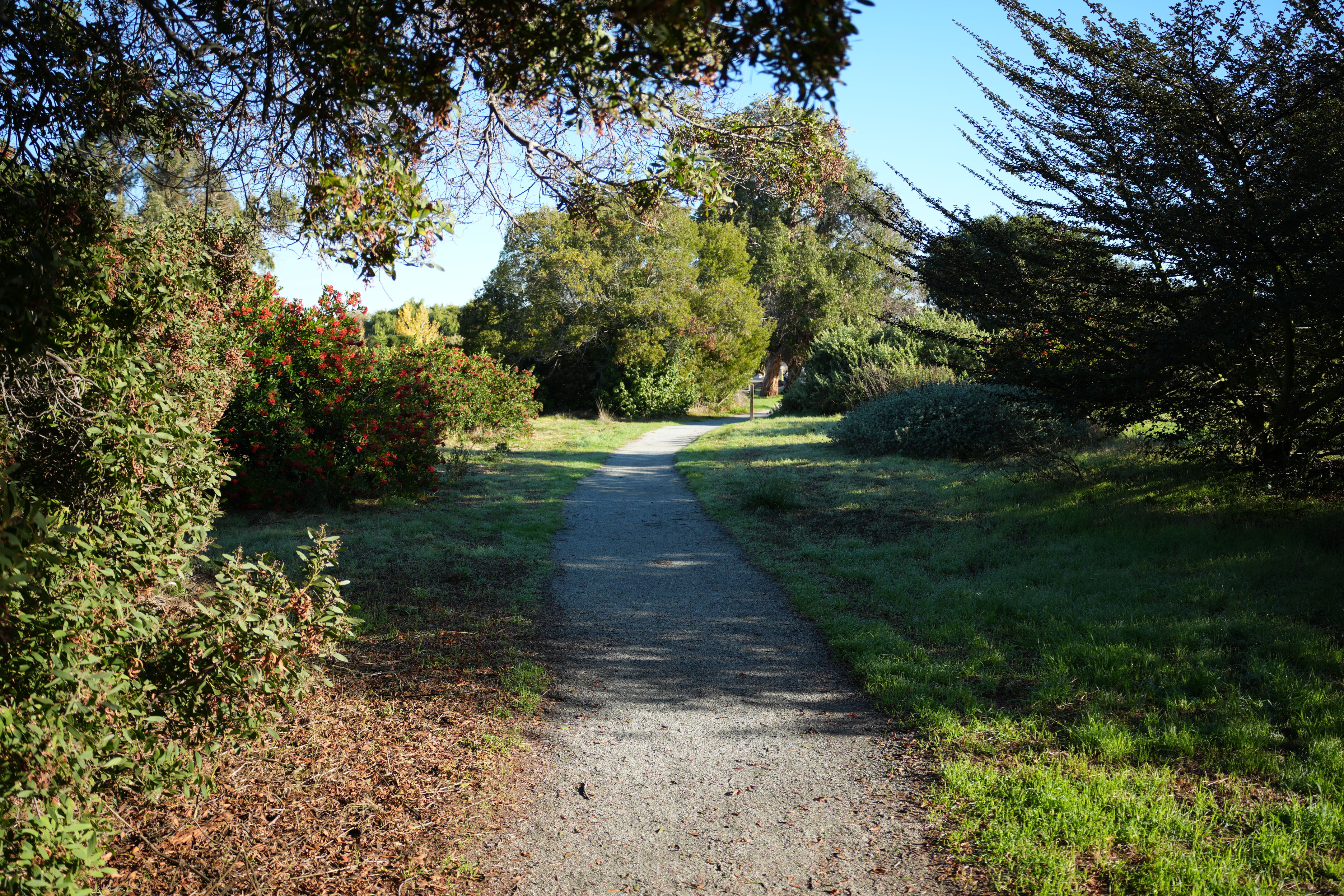 Ulistac Natural Area
