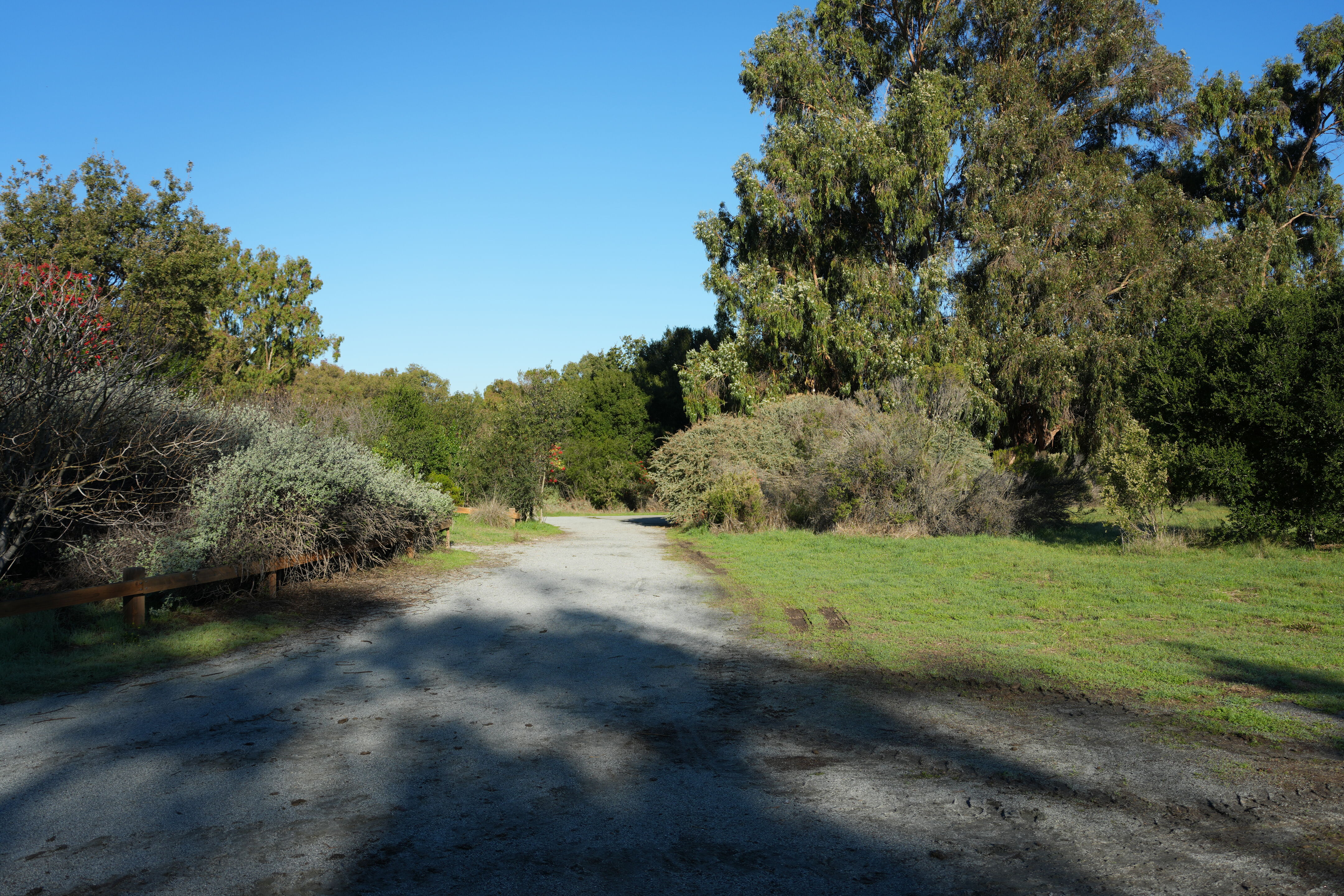 Ulistac Natural Area