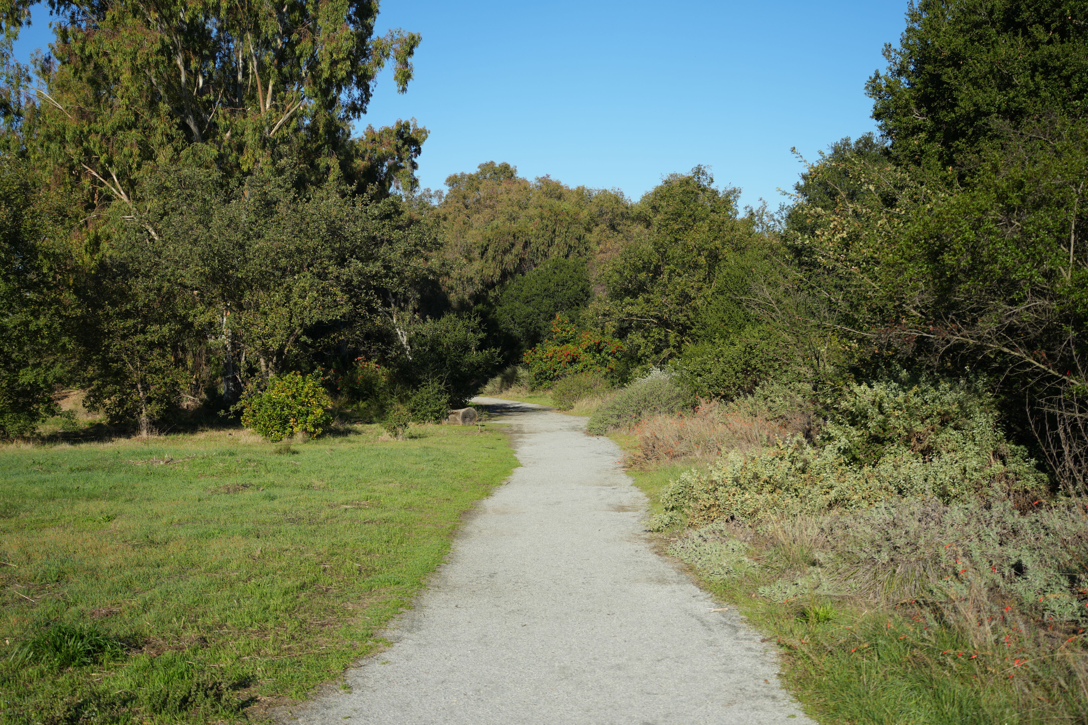 Ulistac Natural Area