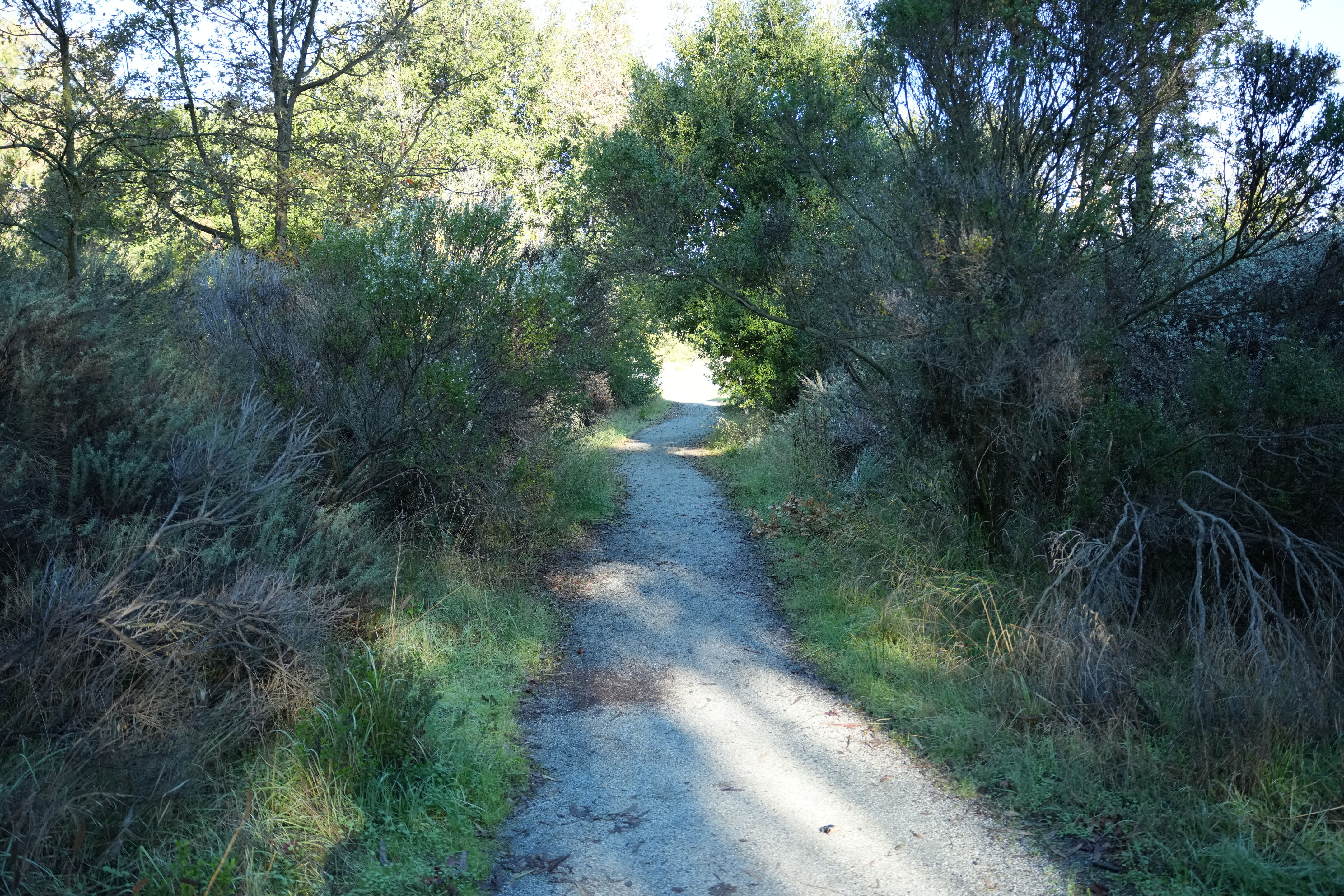 Ulistac Natural Area