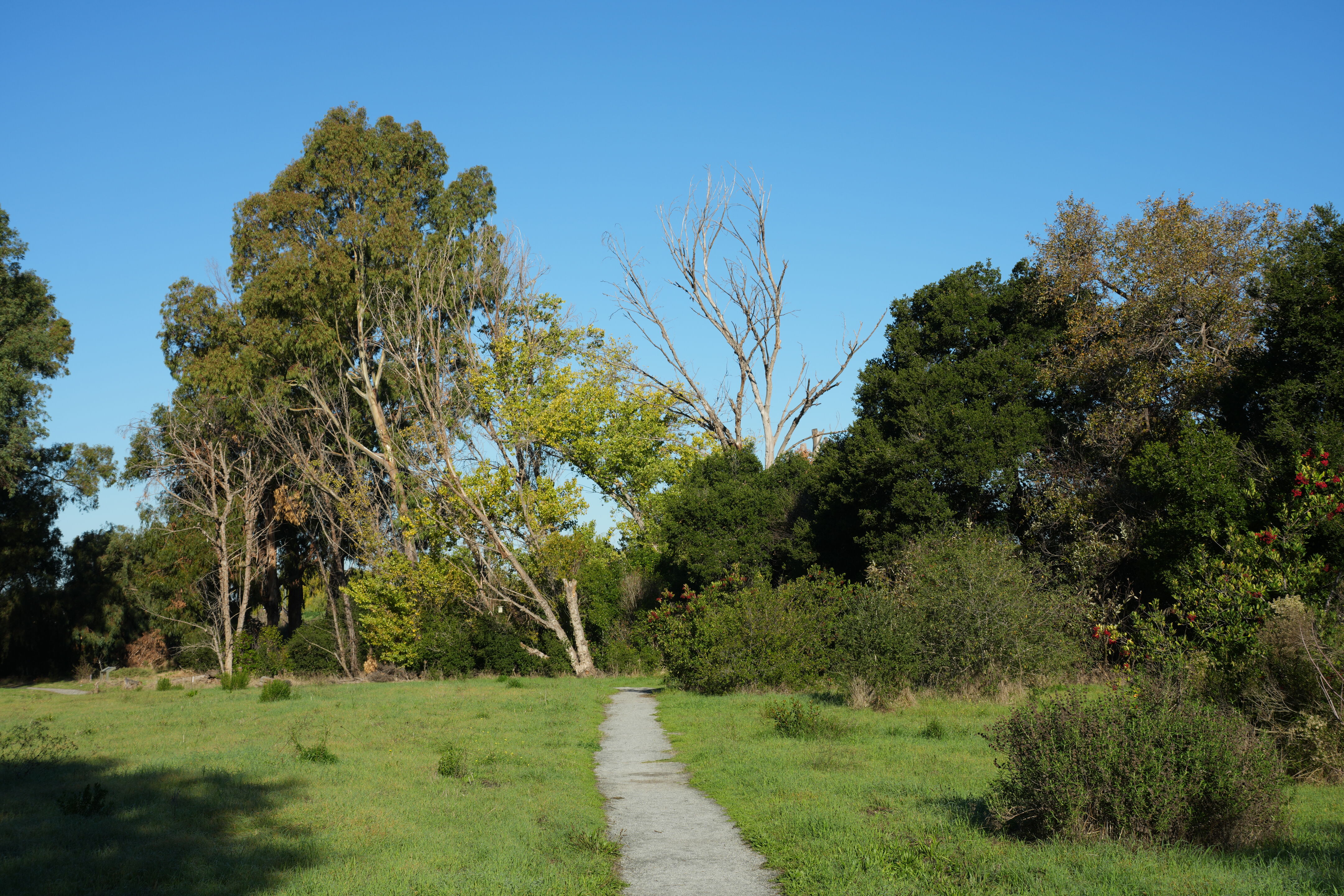 Ulistac Natural Area