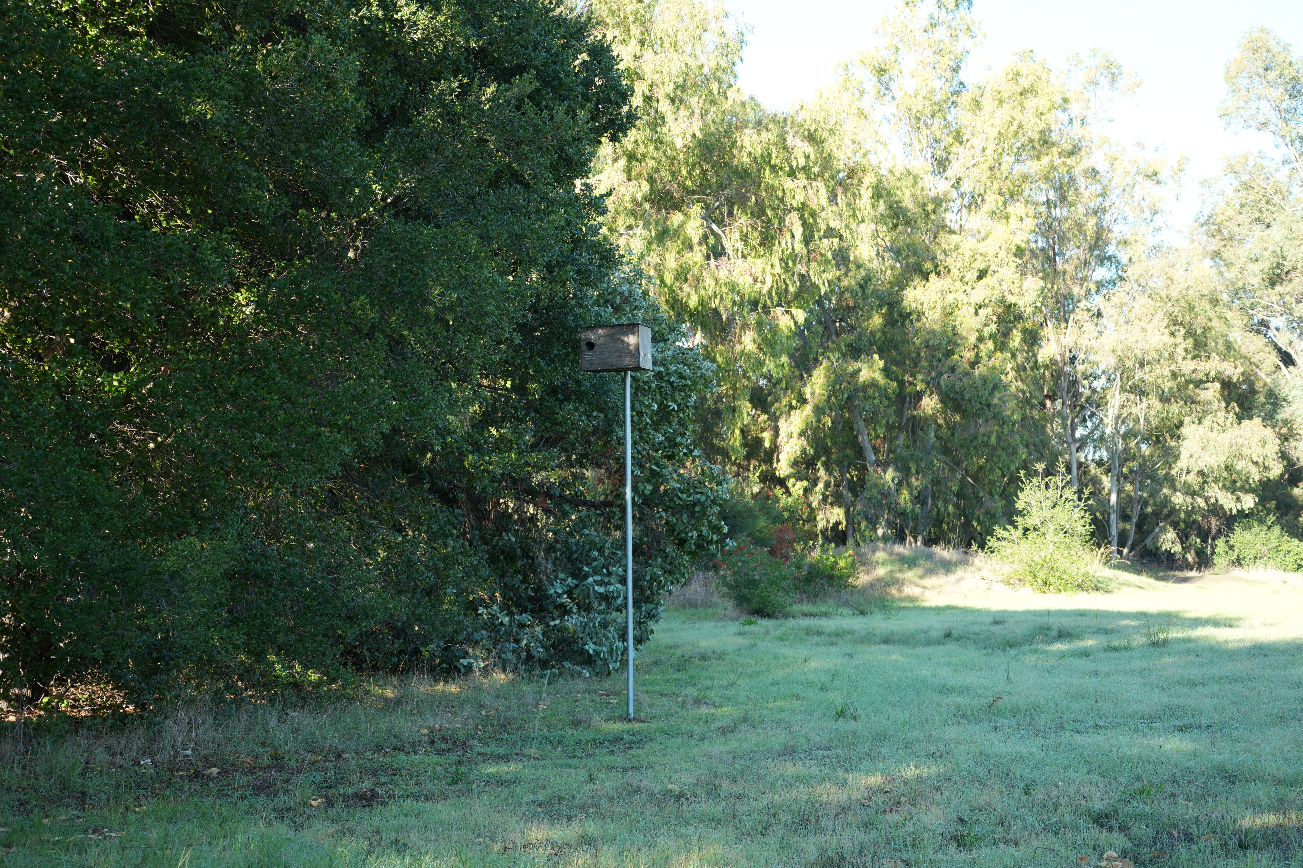 Ulistac Natural Area