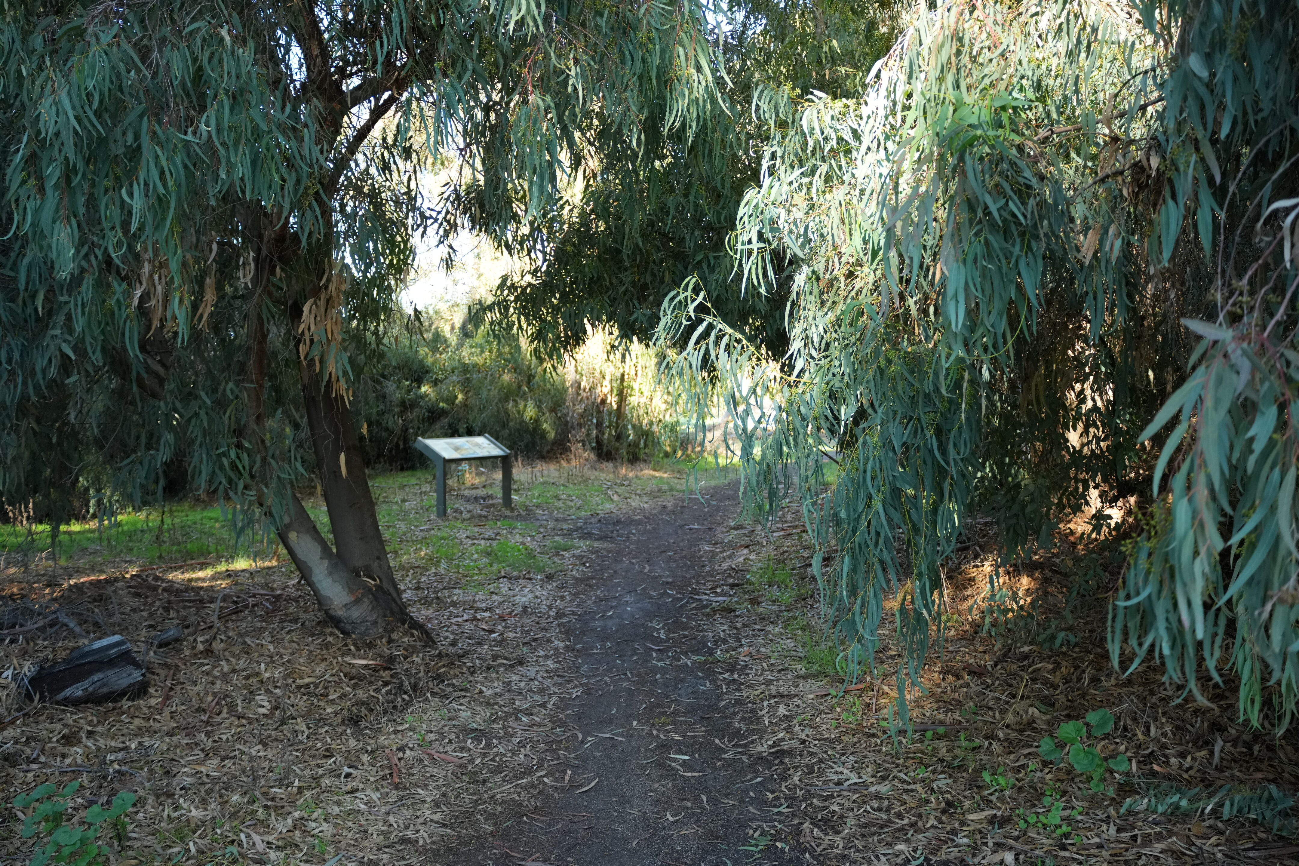 Ulistac Natural Area