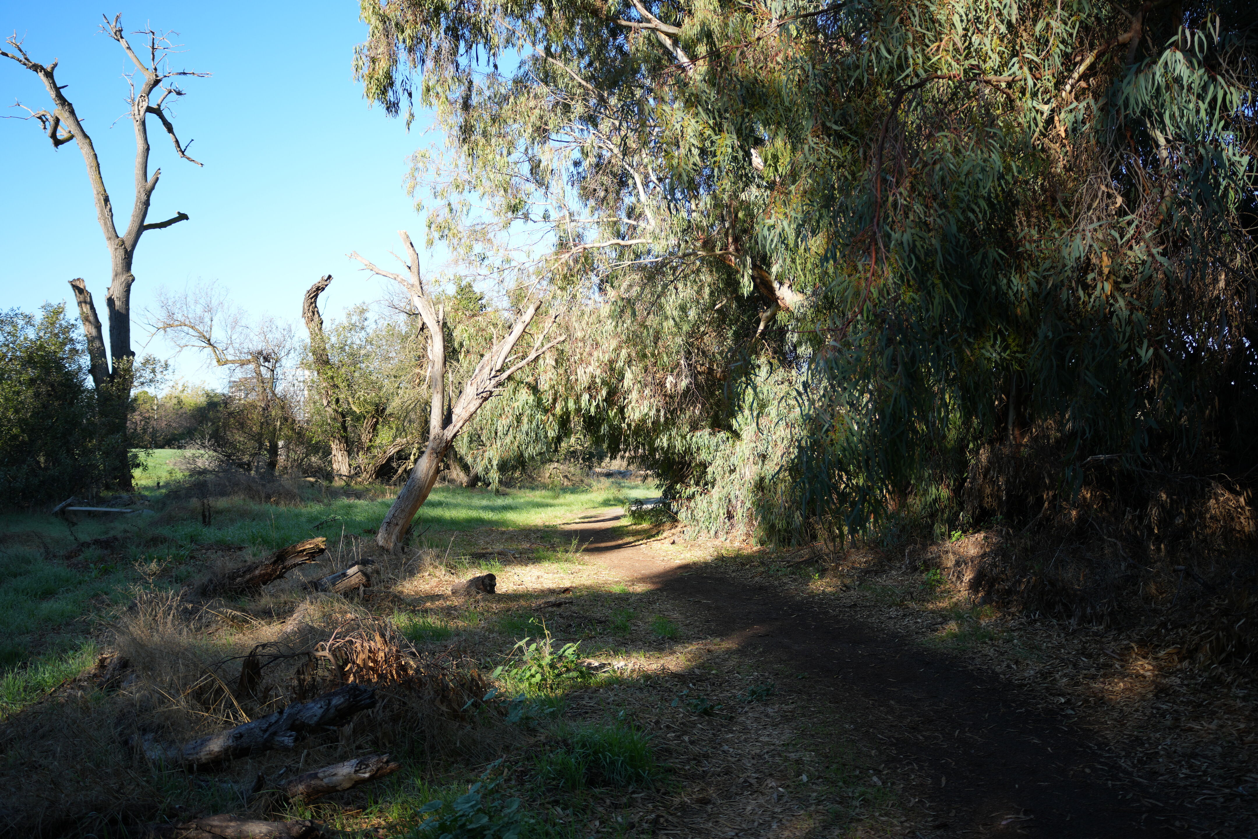 Ulistac Natural Area