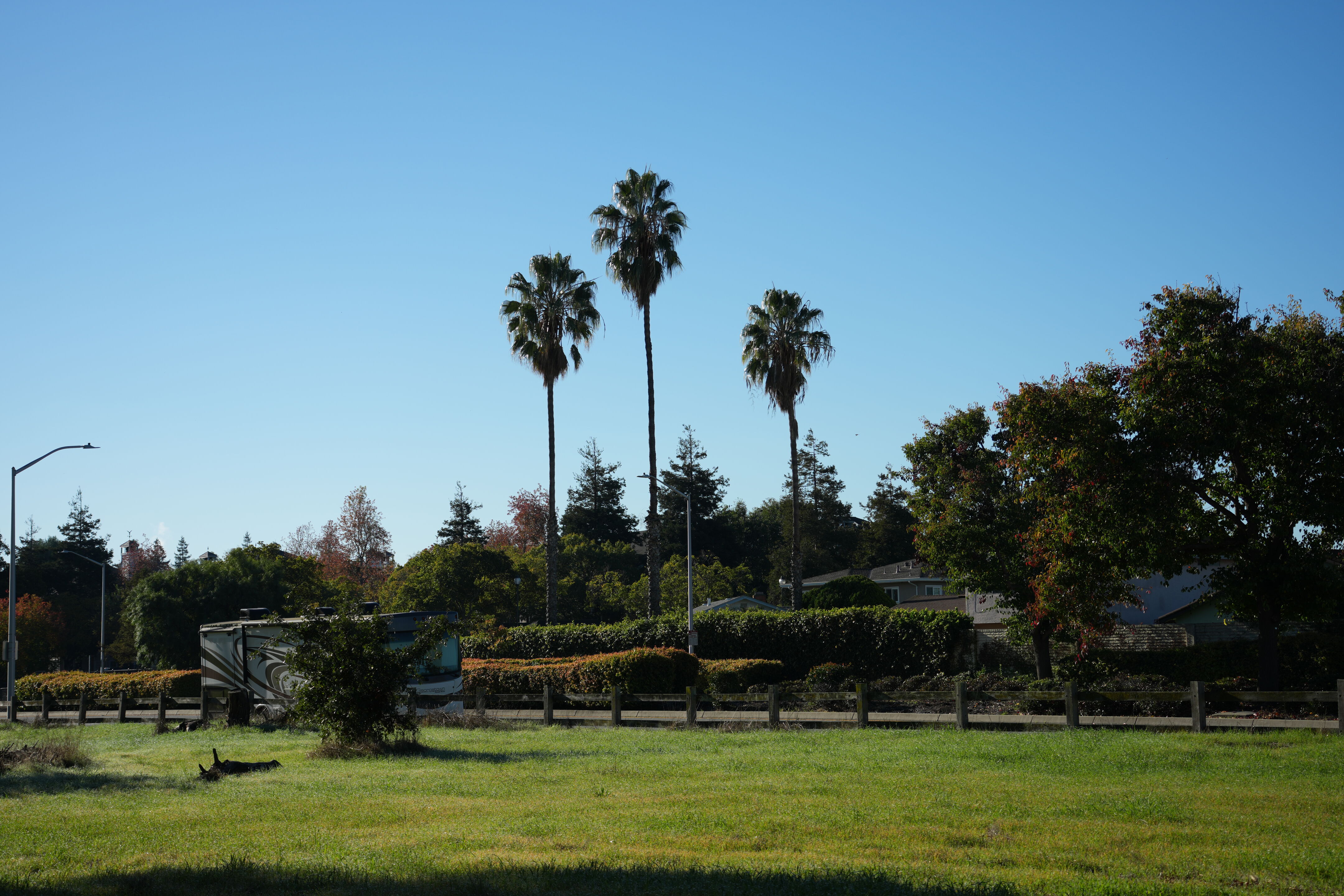 Ulistac Natural Area