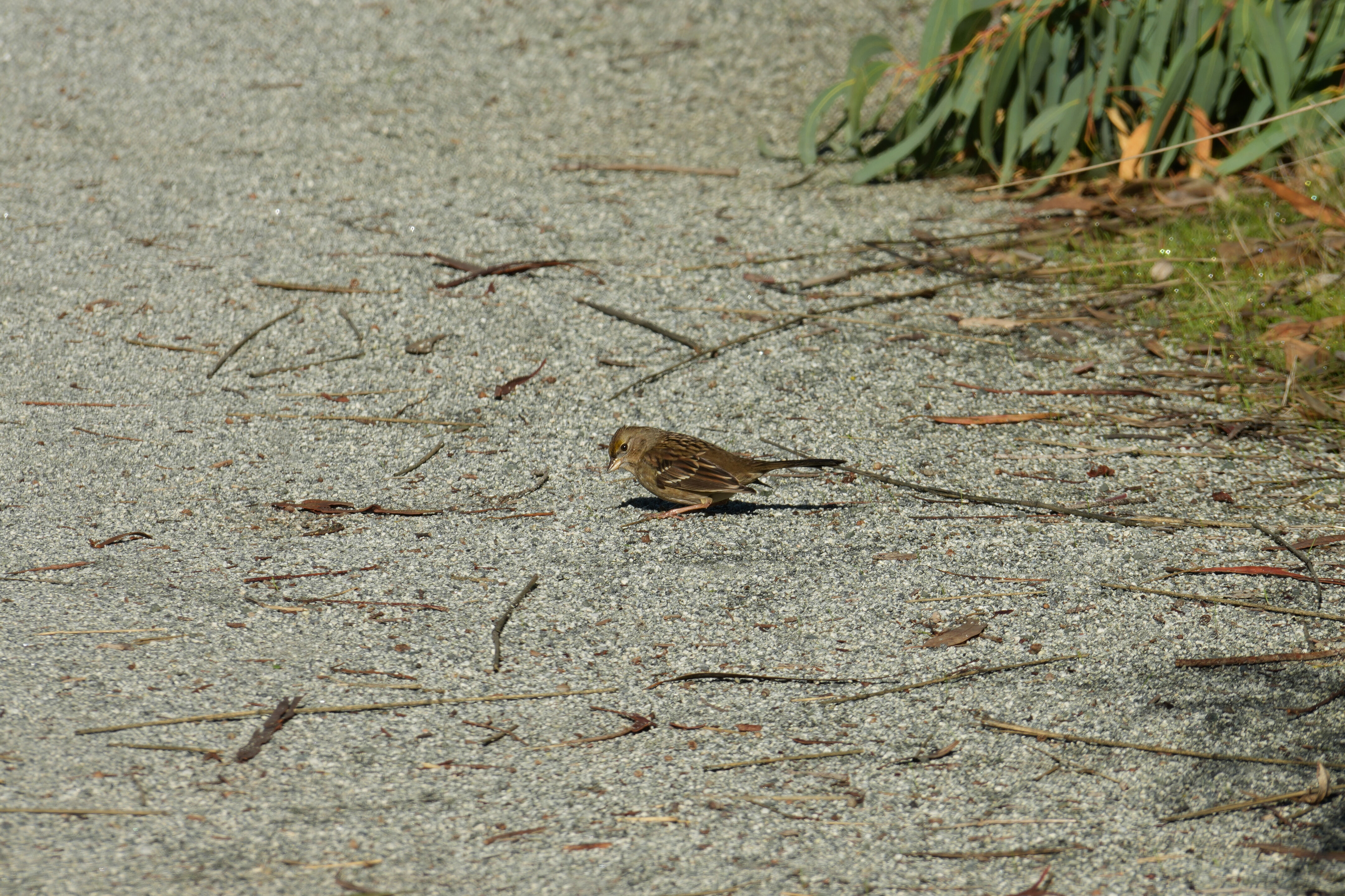 Ulistac Natural Area
