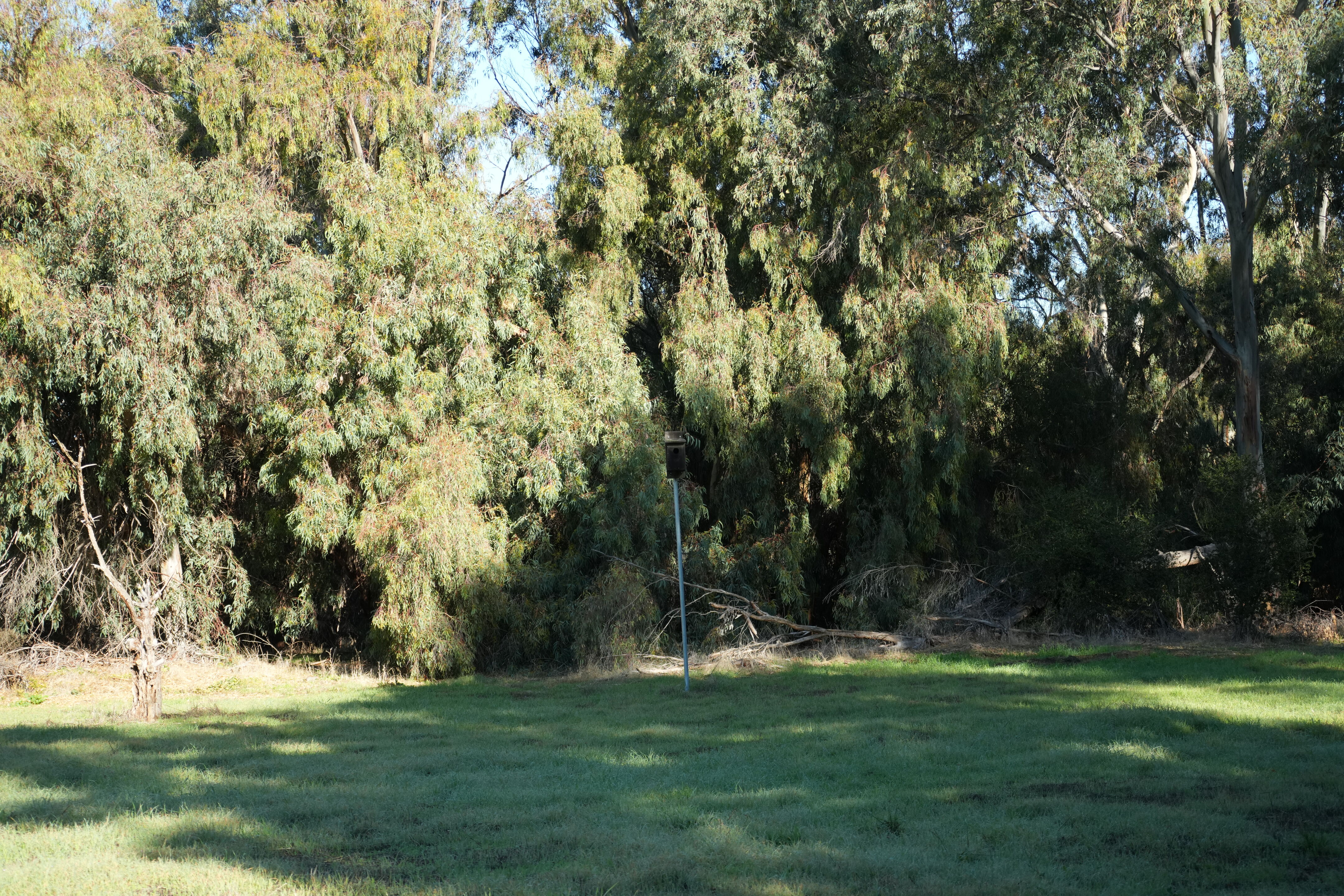 Ulistac Natural Area