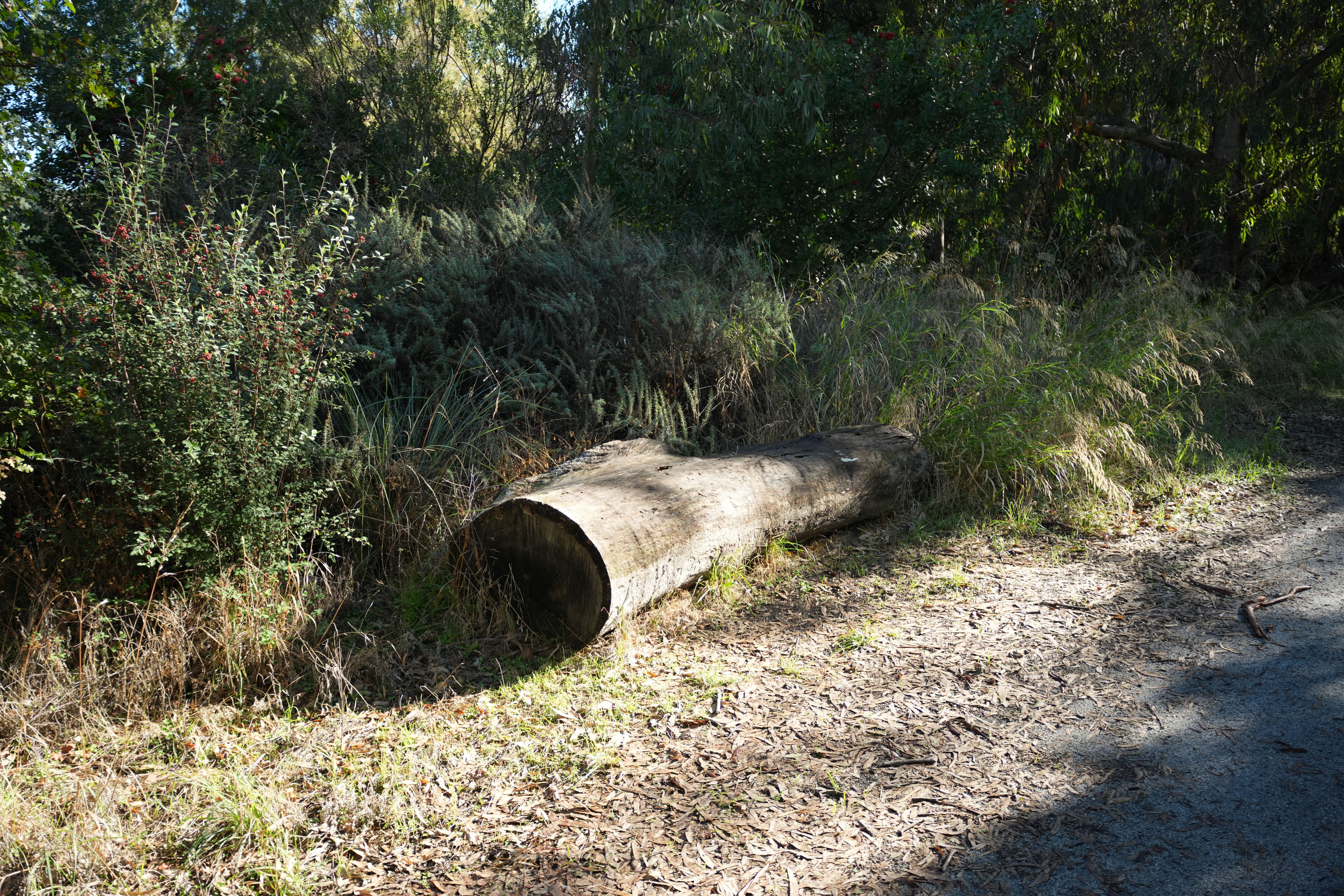 Ulistac Natural Area