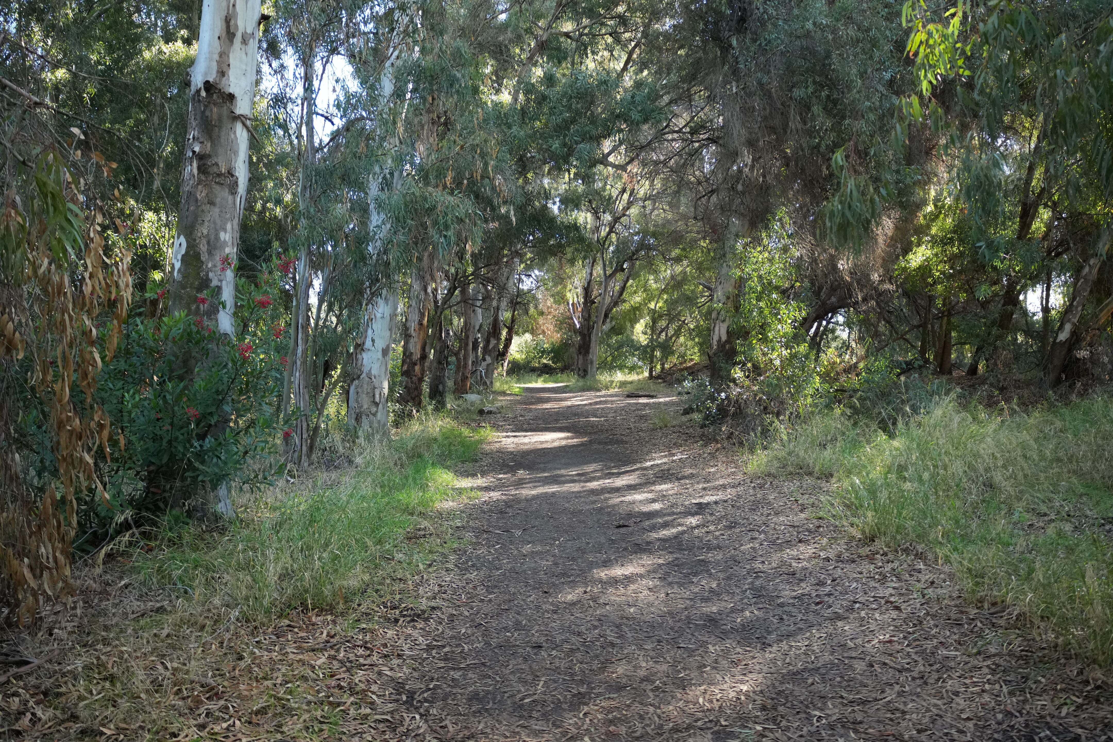 Ulistac Natural Area