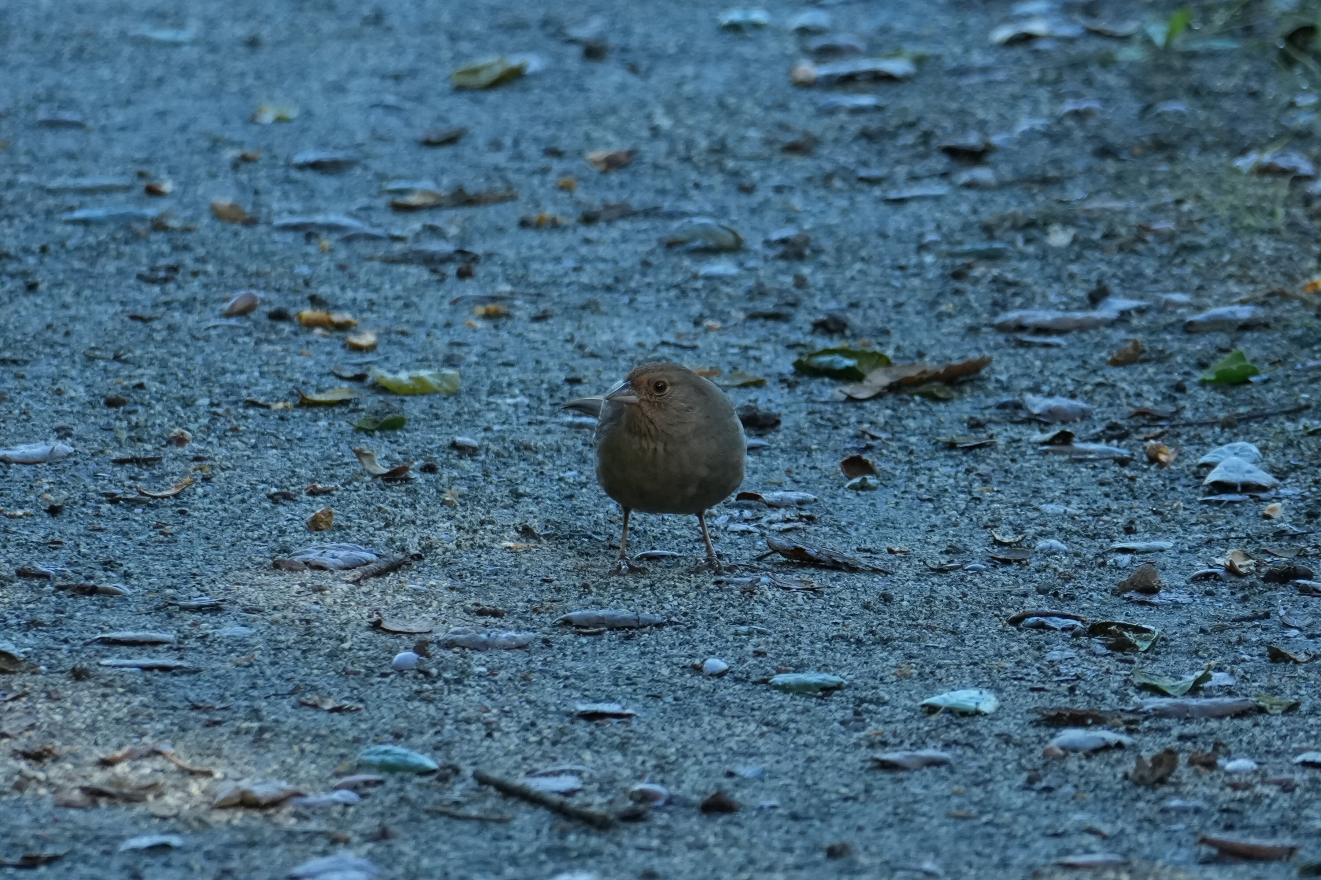 Ulistac Natural Area