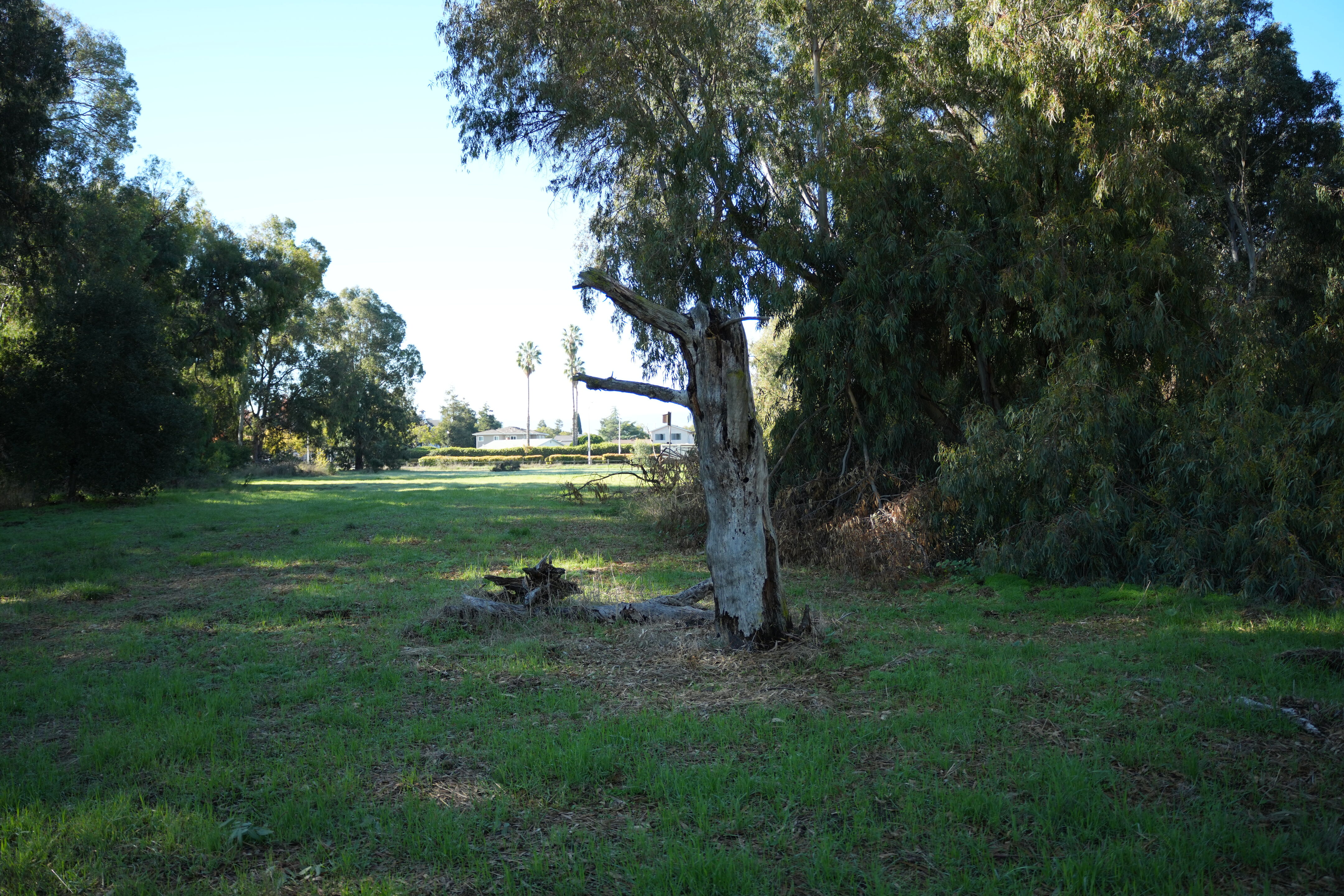 Ulistac Natural Area