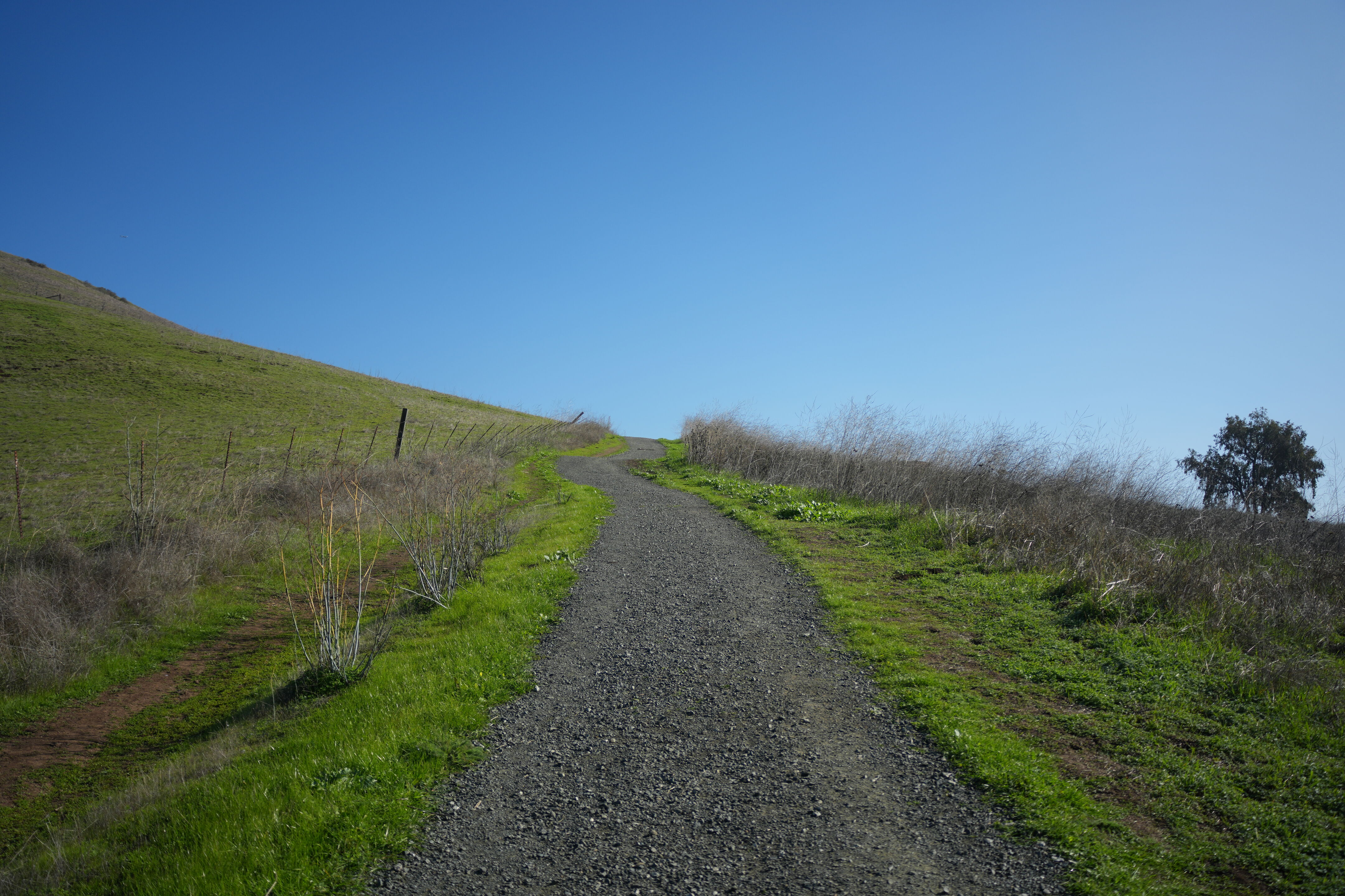 Ed R. Levin County Park