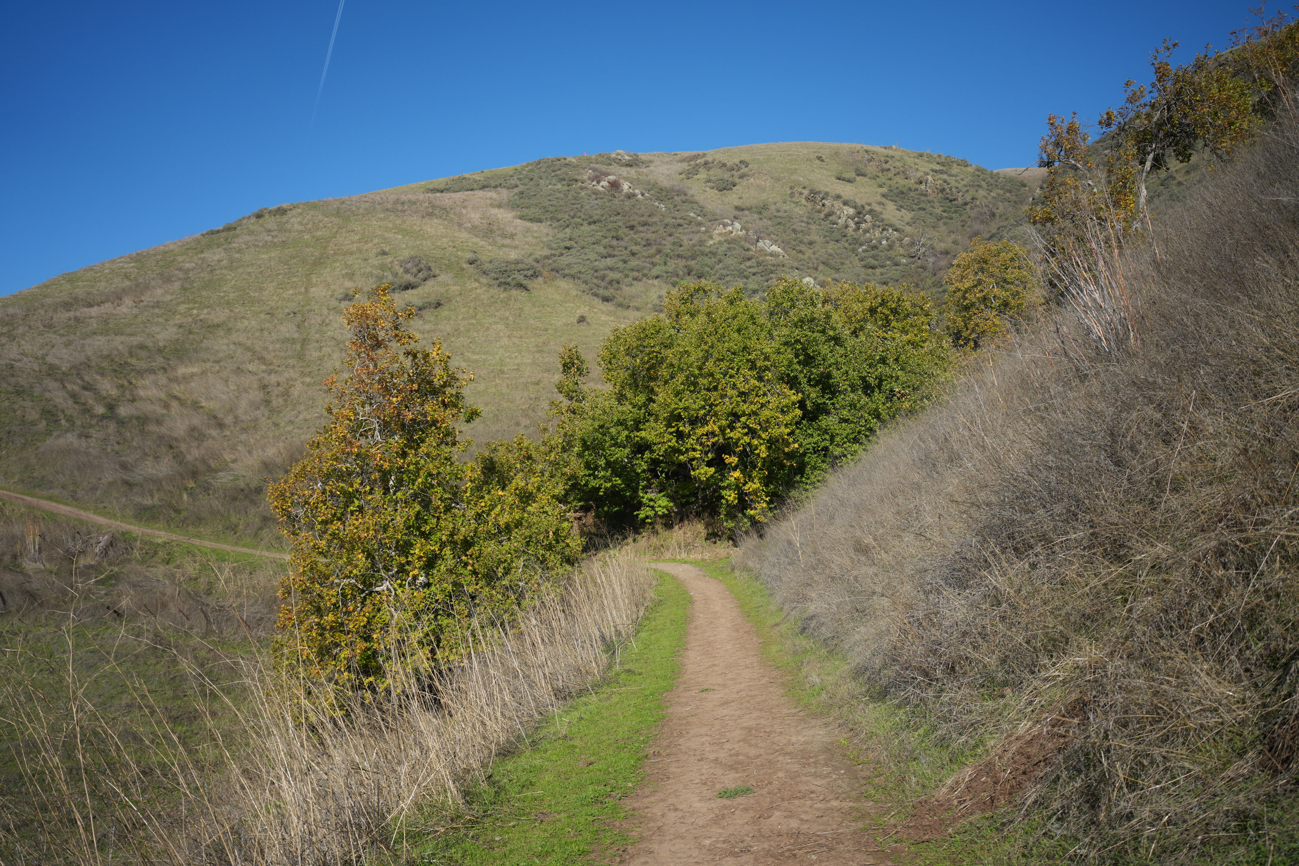 Ed R. Levin County Park