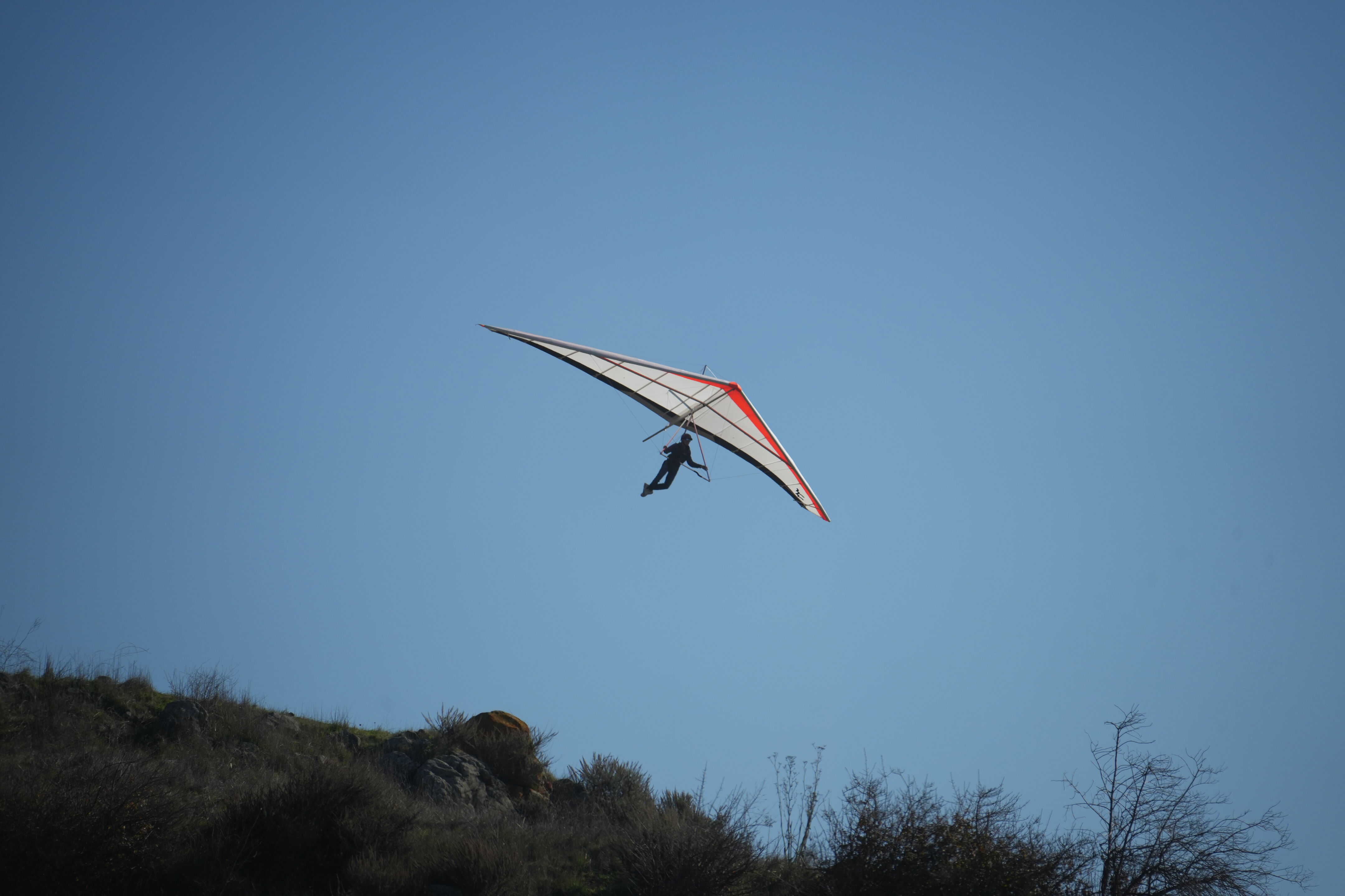 Ed R. Levin County Park
