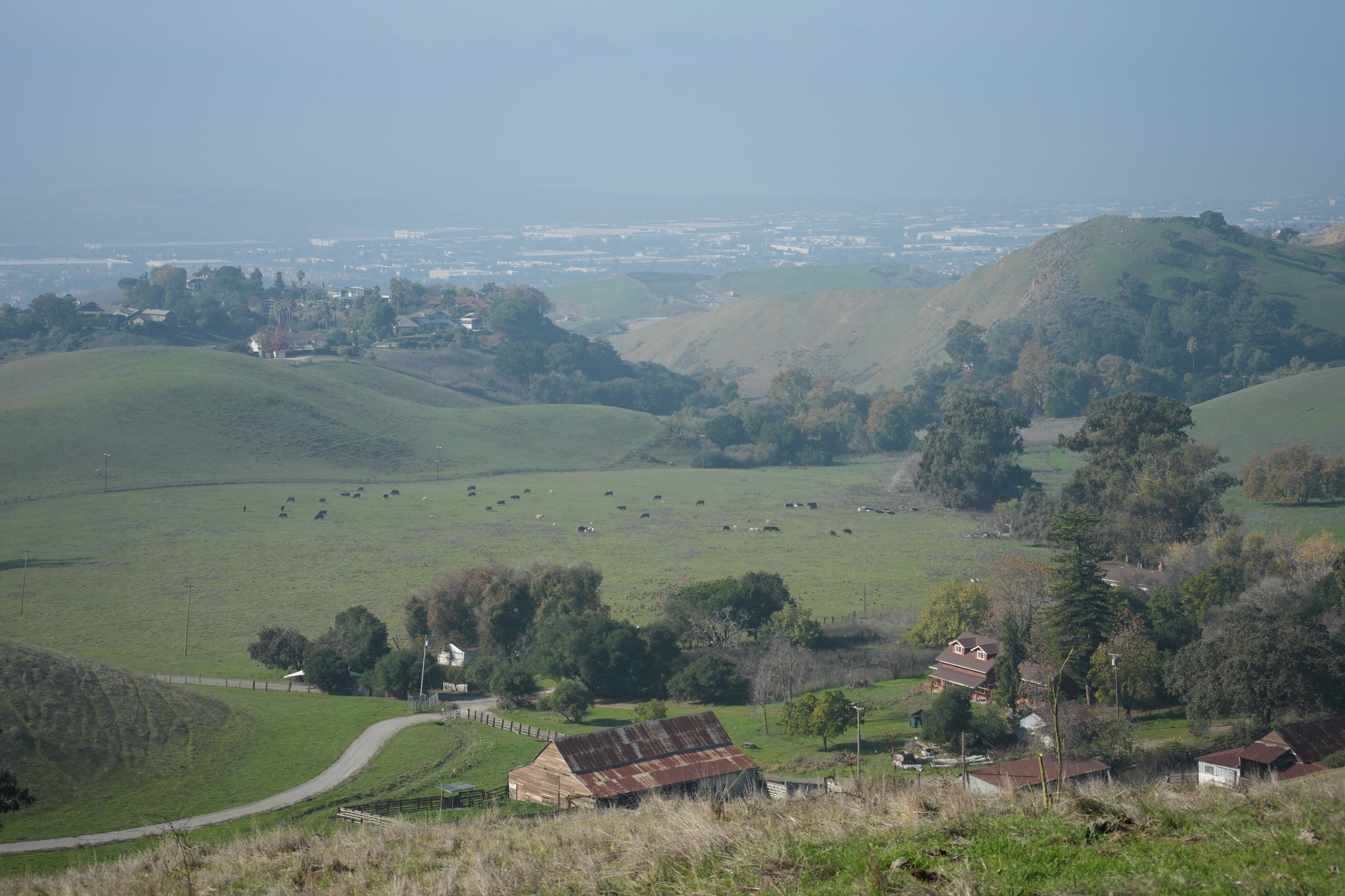 Ed R. Levin County Park