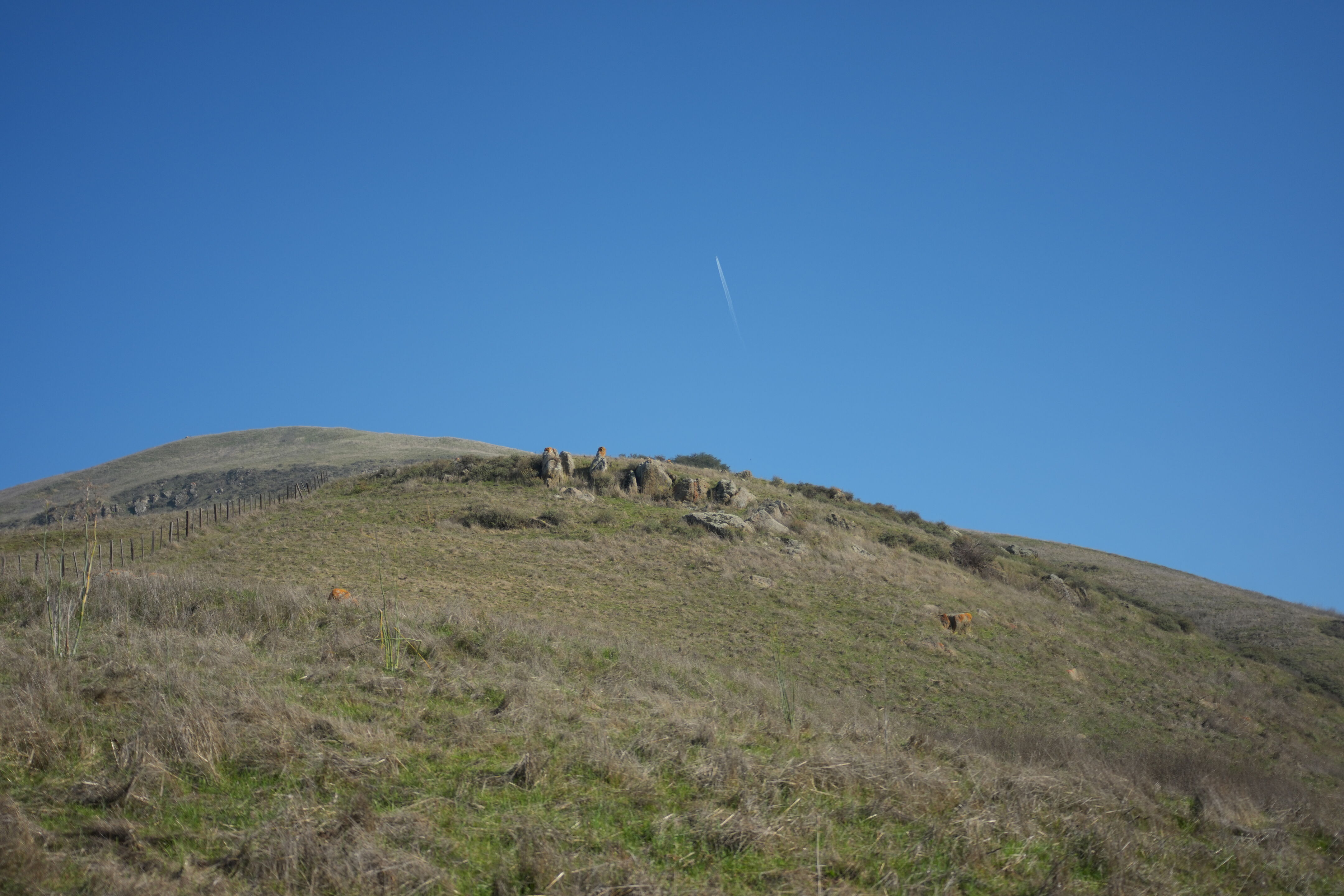 Ed R. Levin County Park