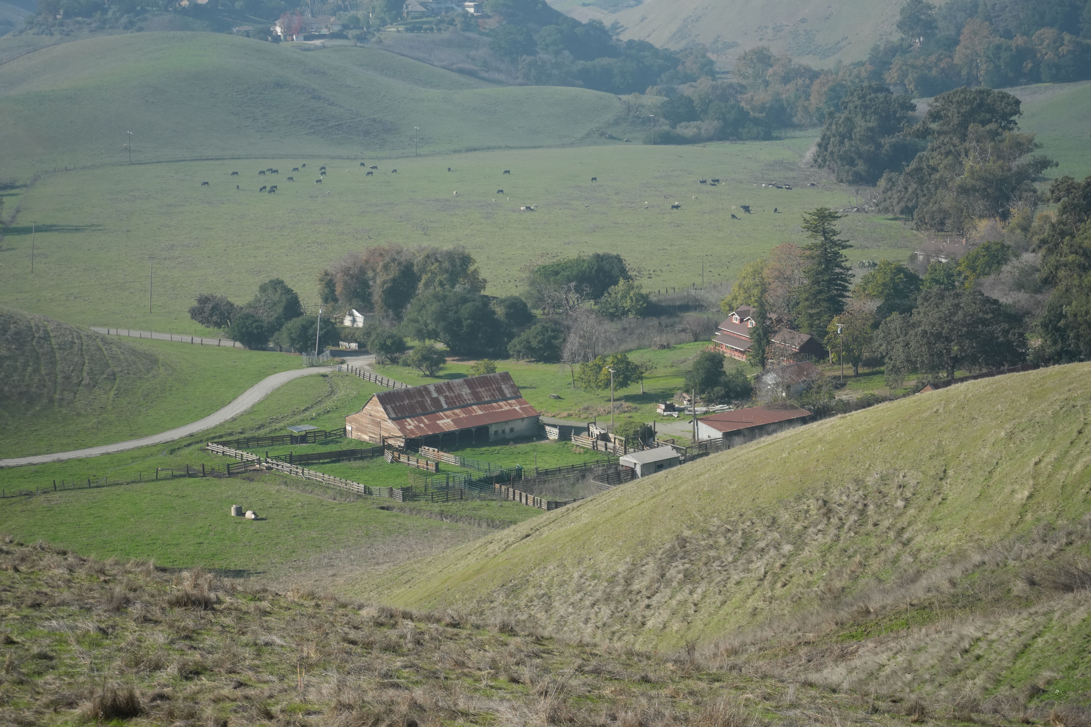 Ed R. Levin County Park
