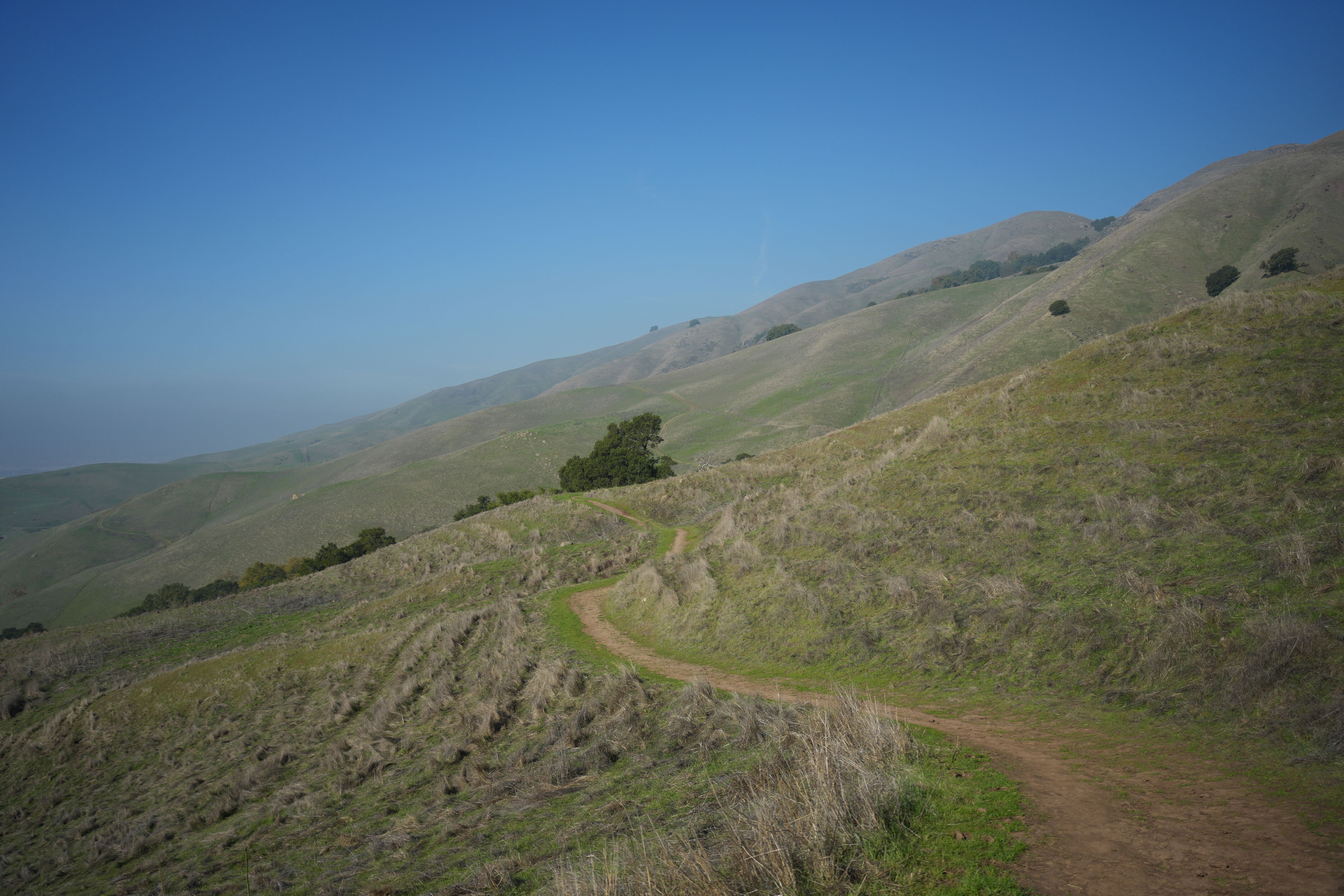 Ed R. Levin County Park