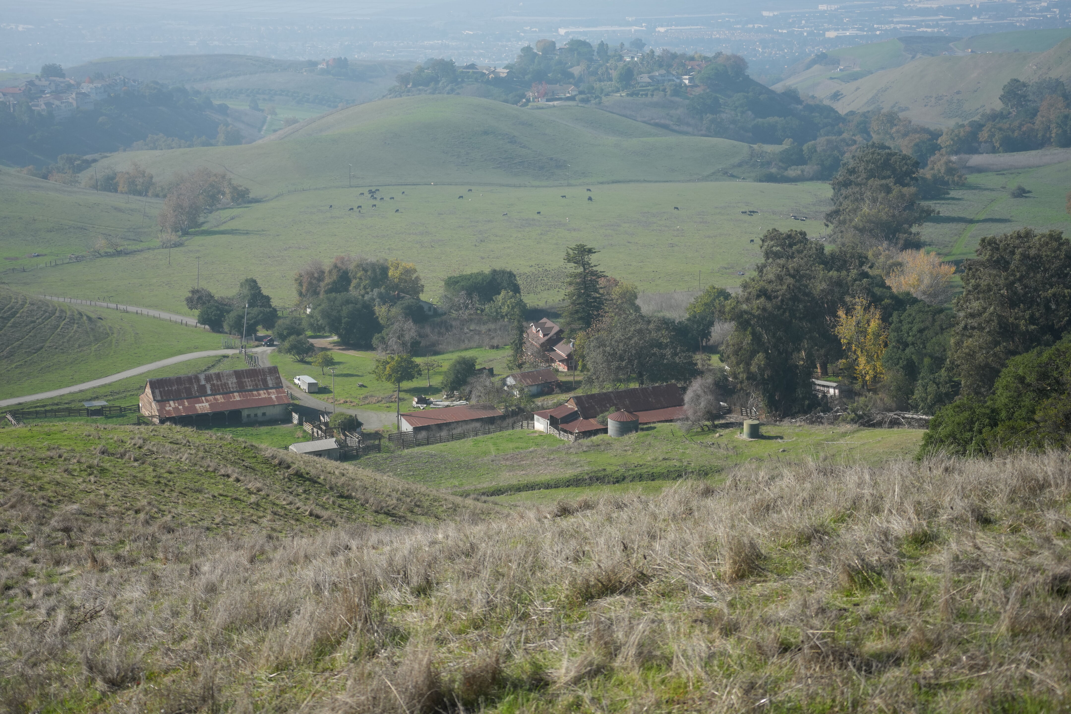 Ed R. Levin County Park