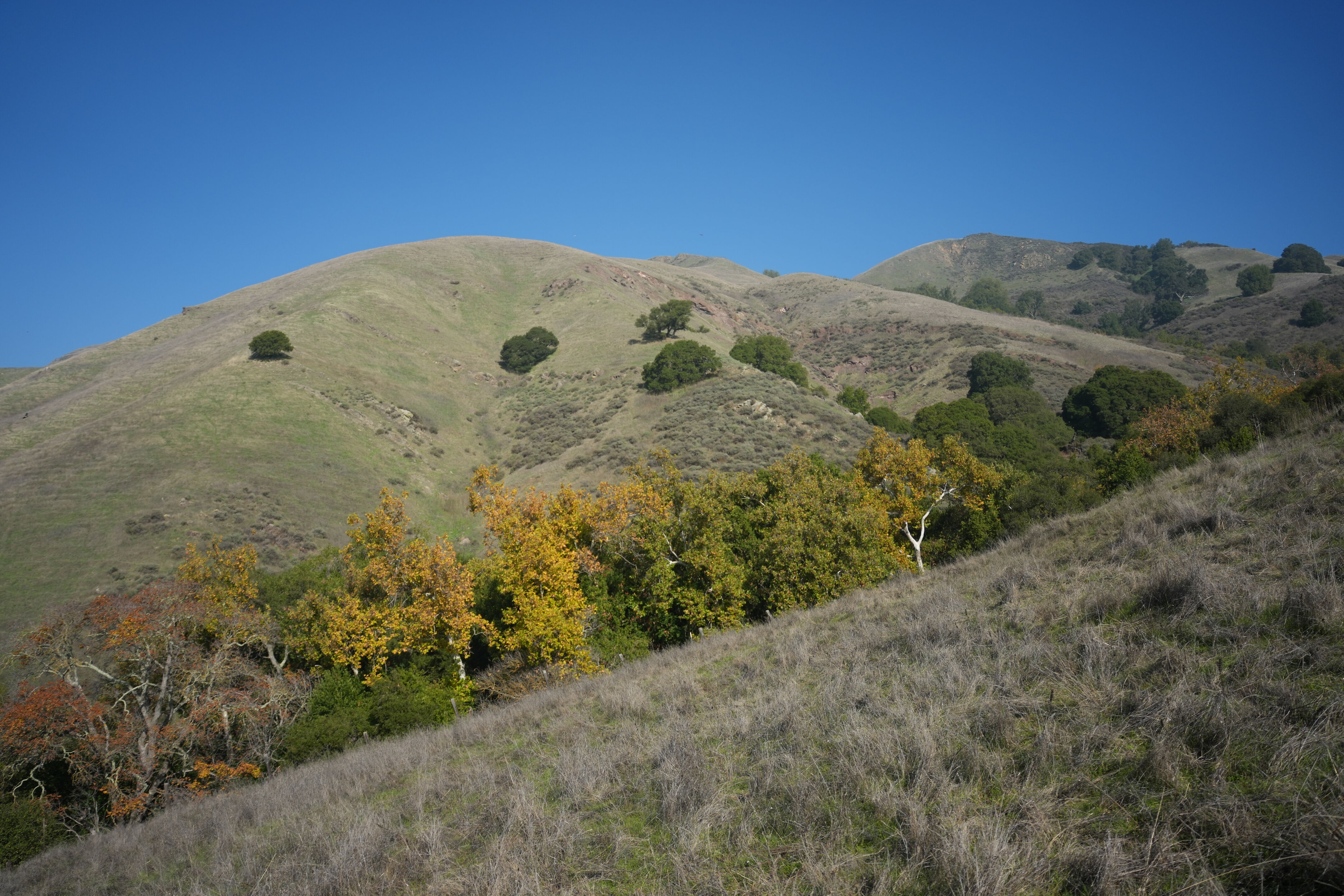 Ed R. Levin County Park