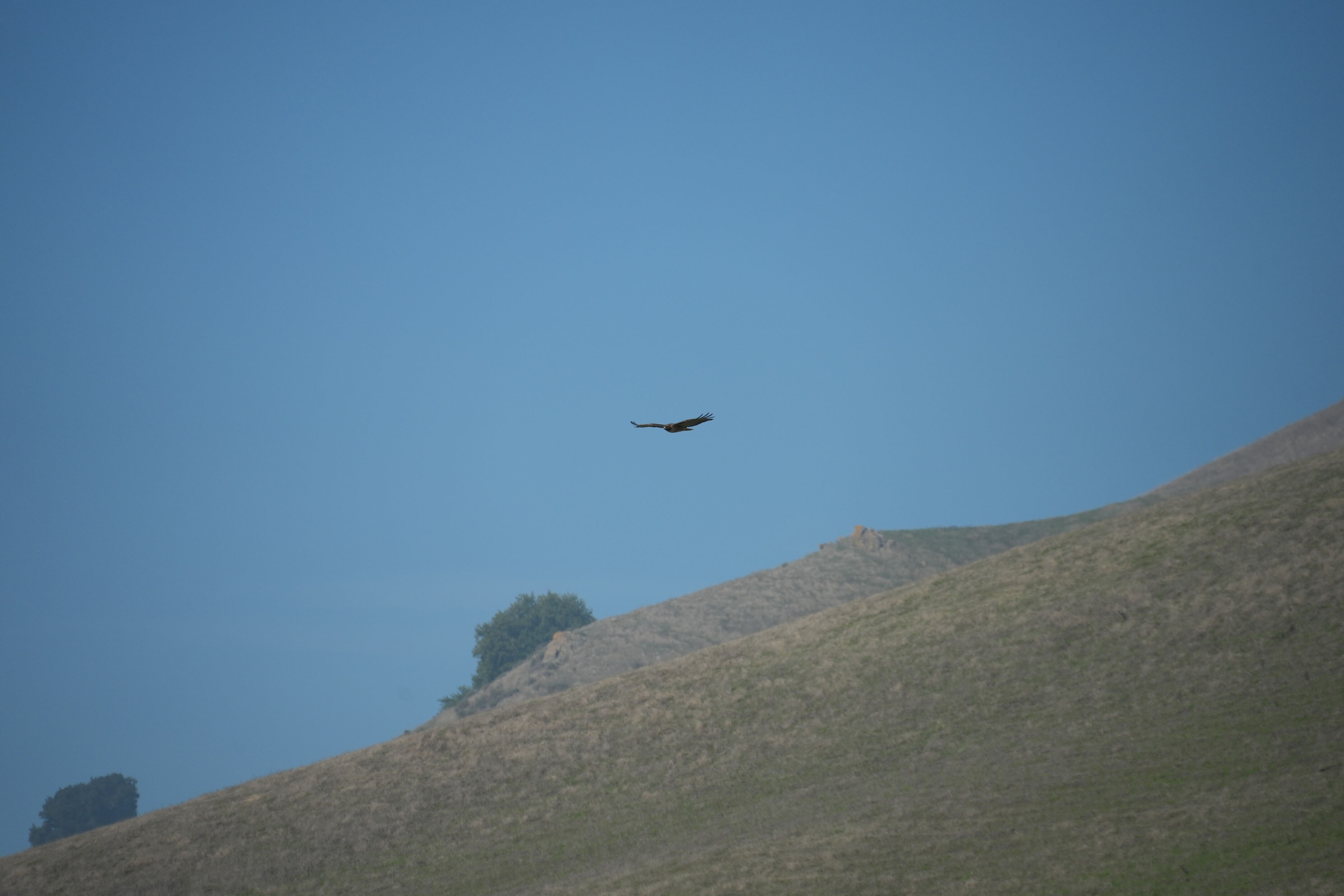 Ed R. Levin County Park