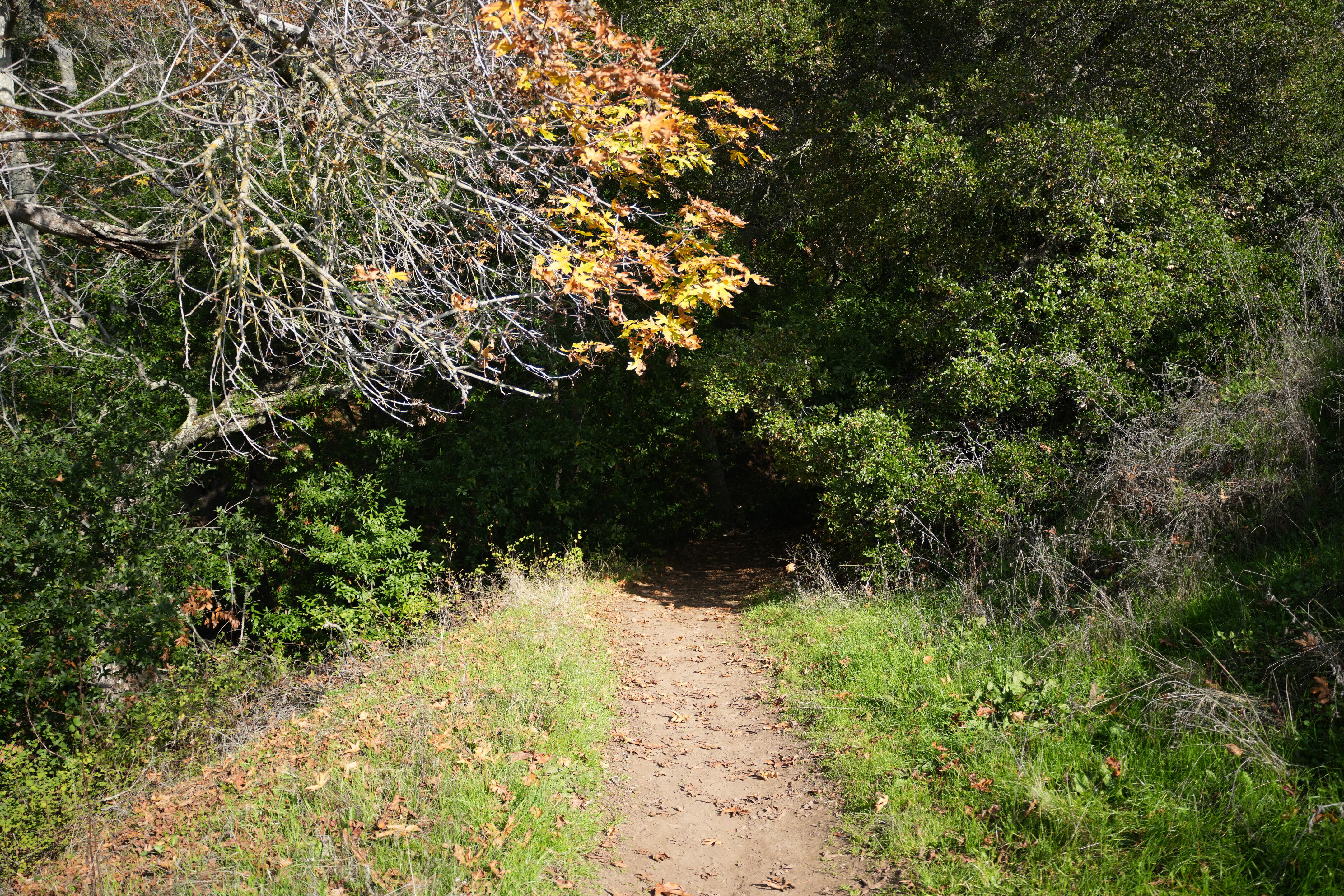 Ed R. Levin County Park