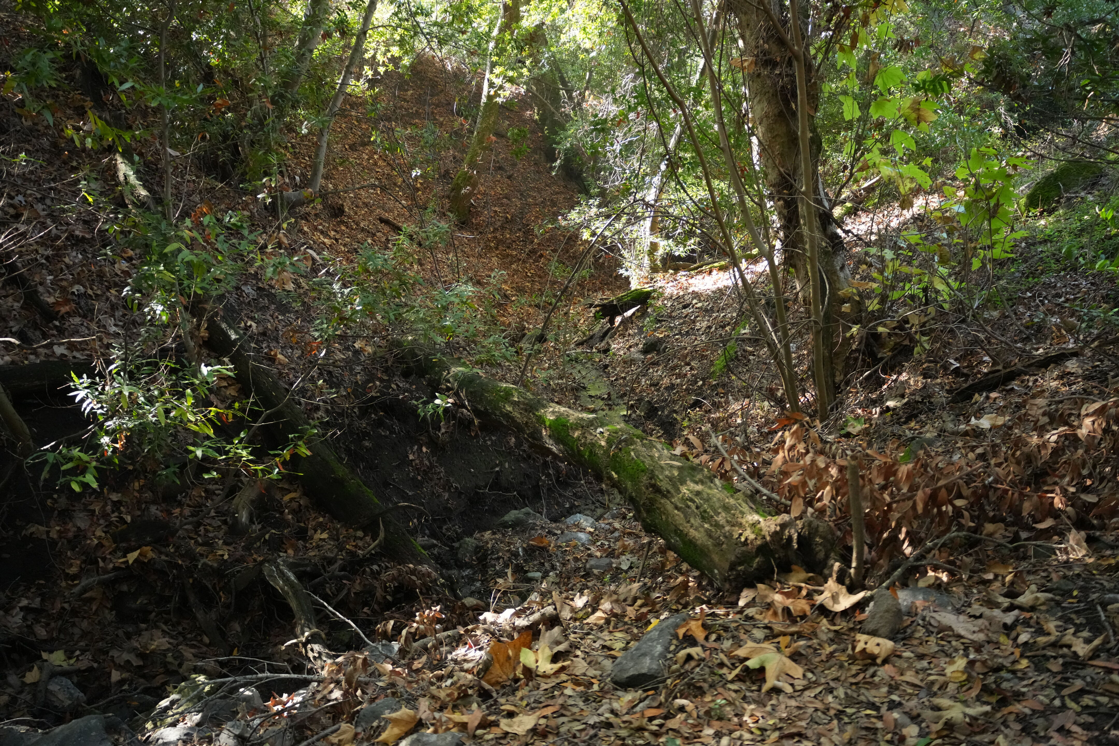 Ed R. Levin County Park