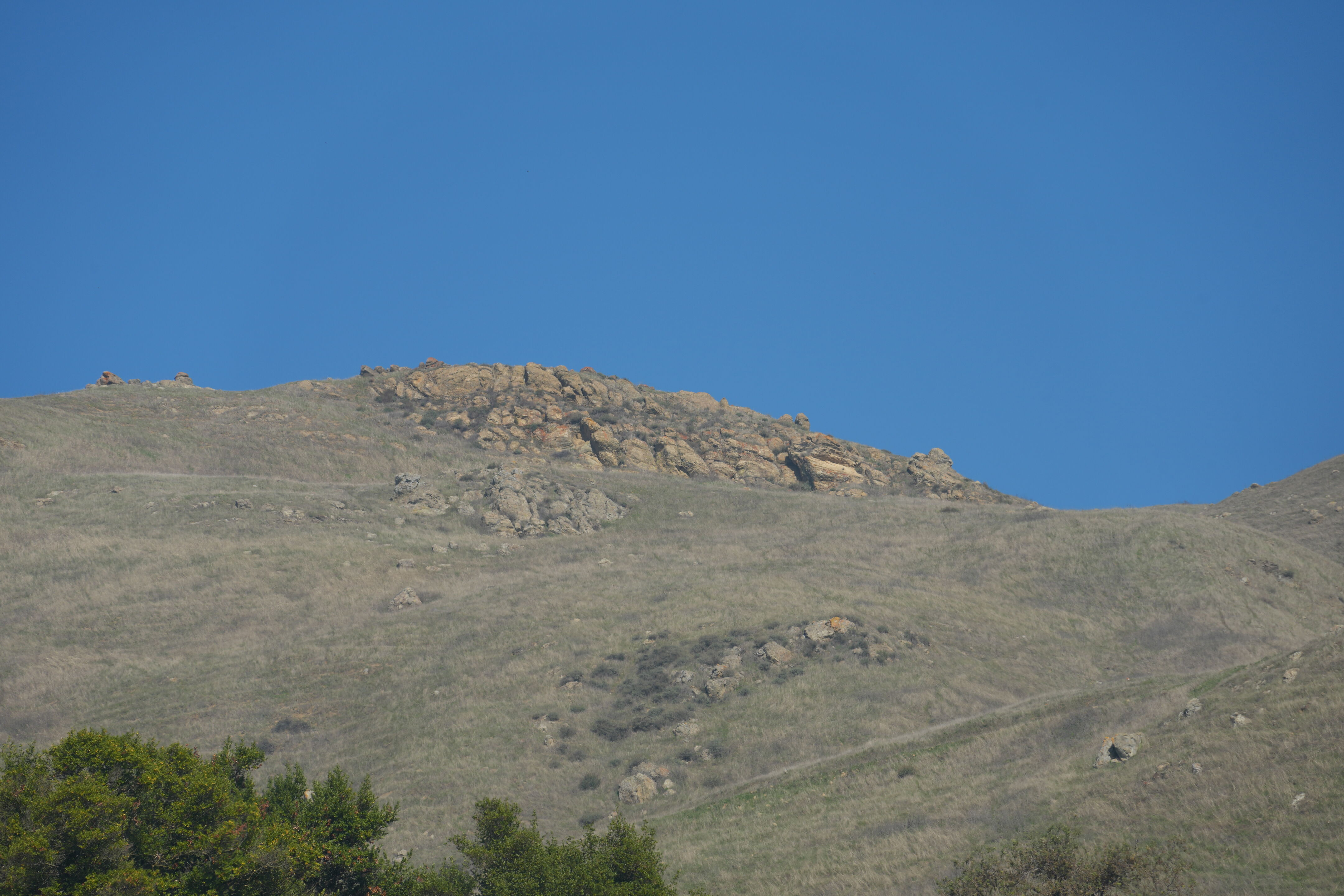 Ed R. Levin County Park