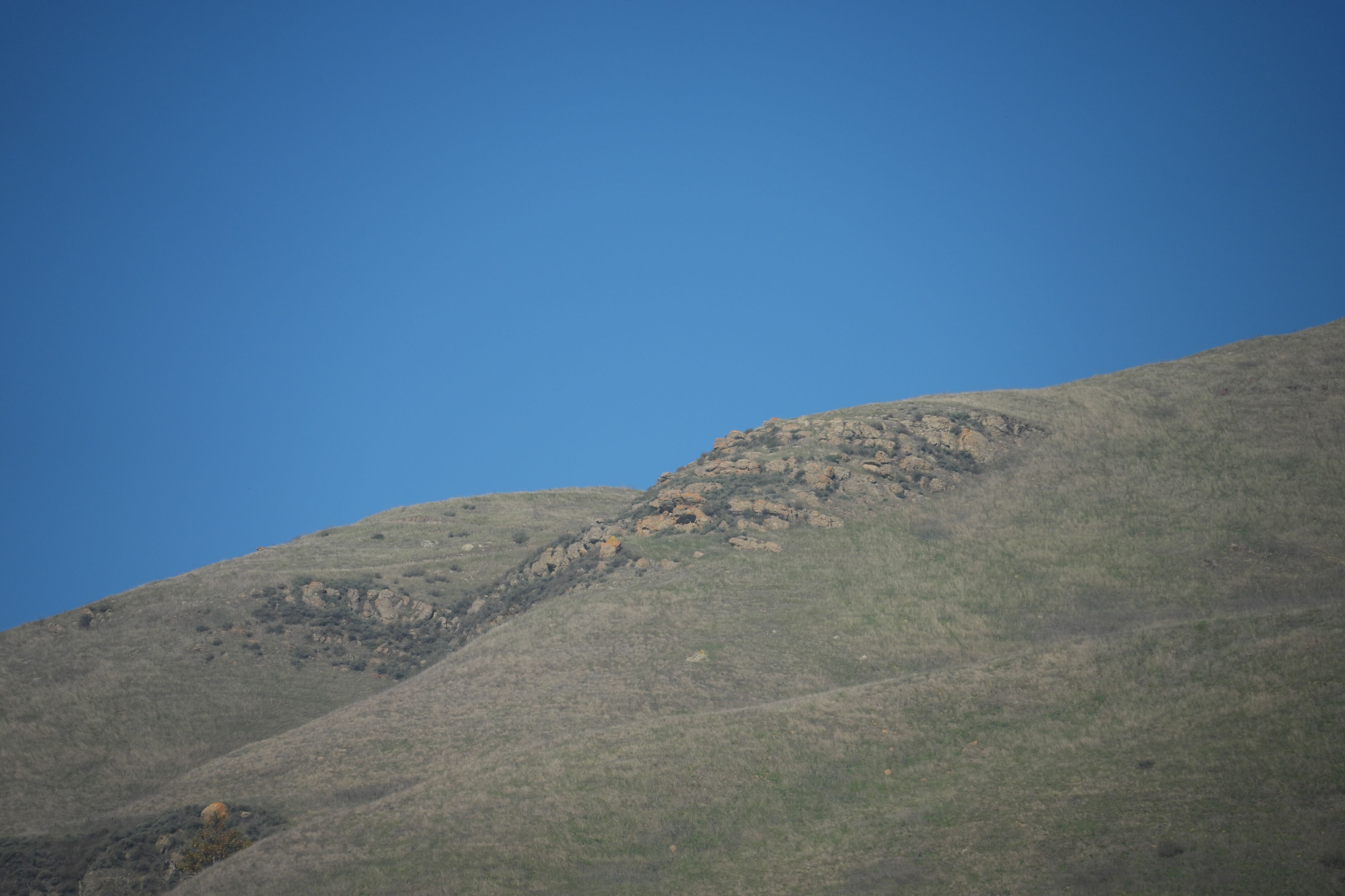 Ed R. Levin County Park