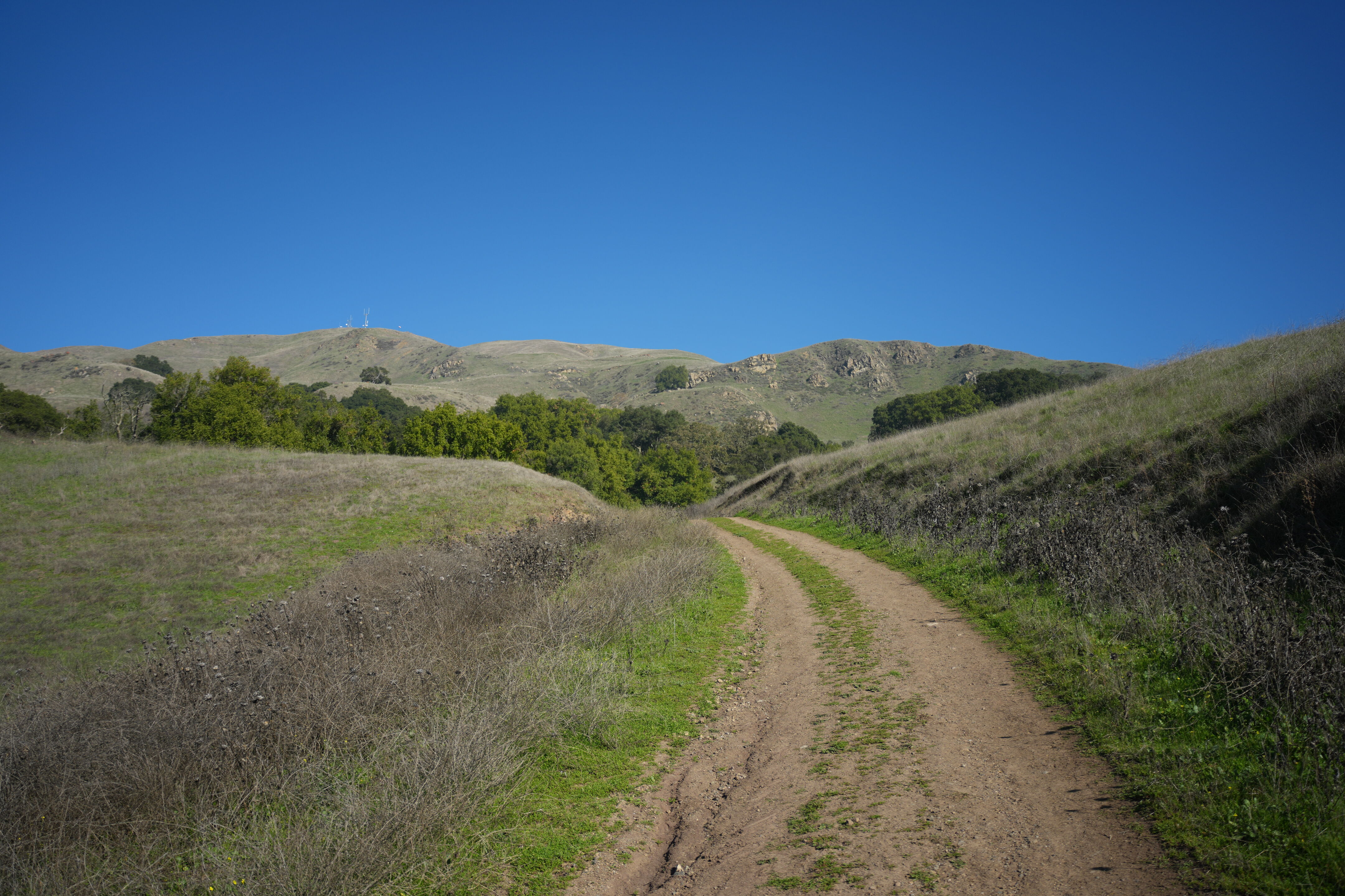 Ed R. Levin County Park