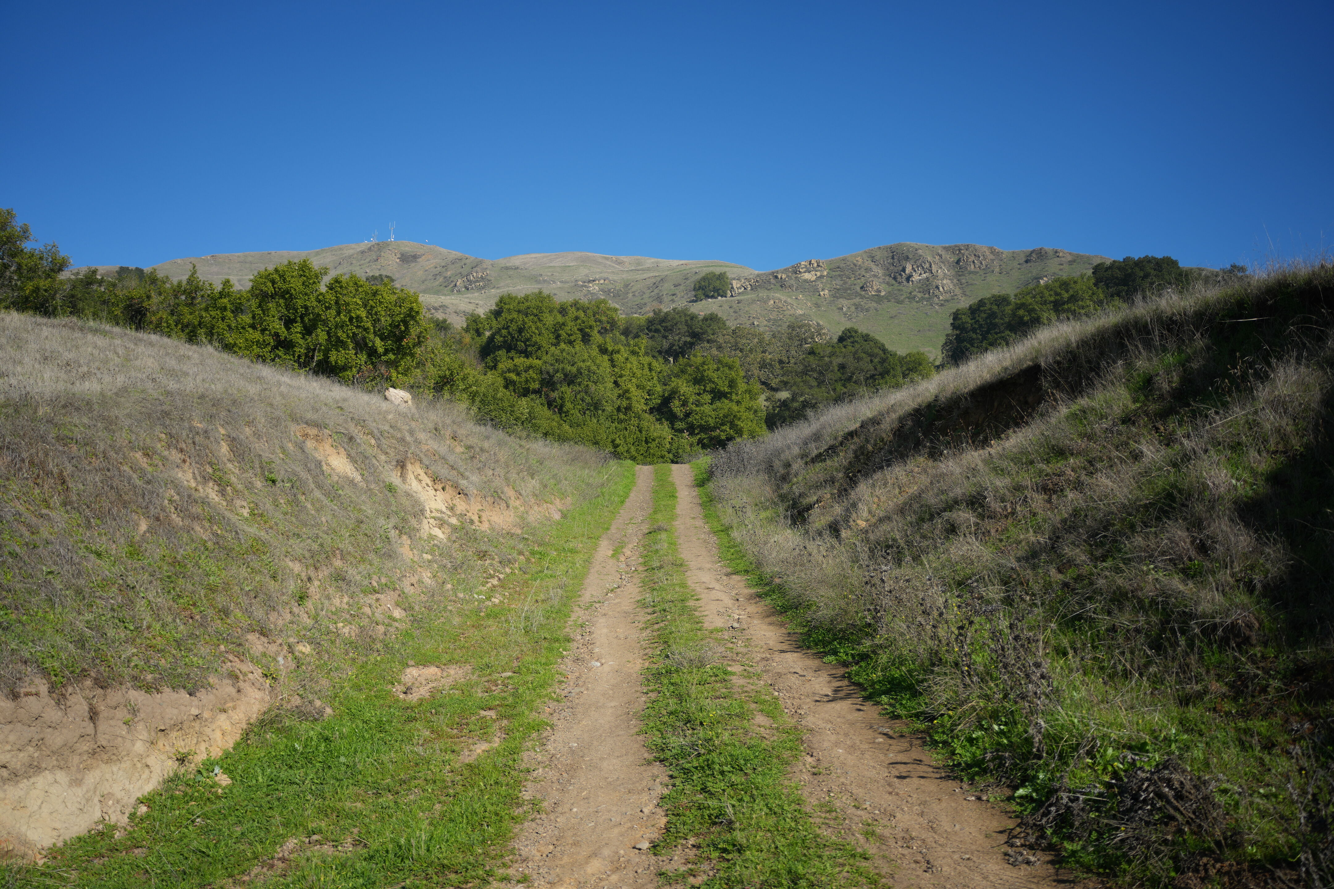 Ed R. Levin County Park