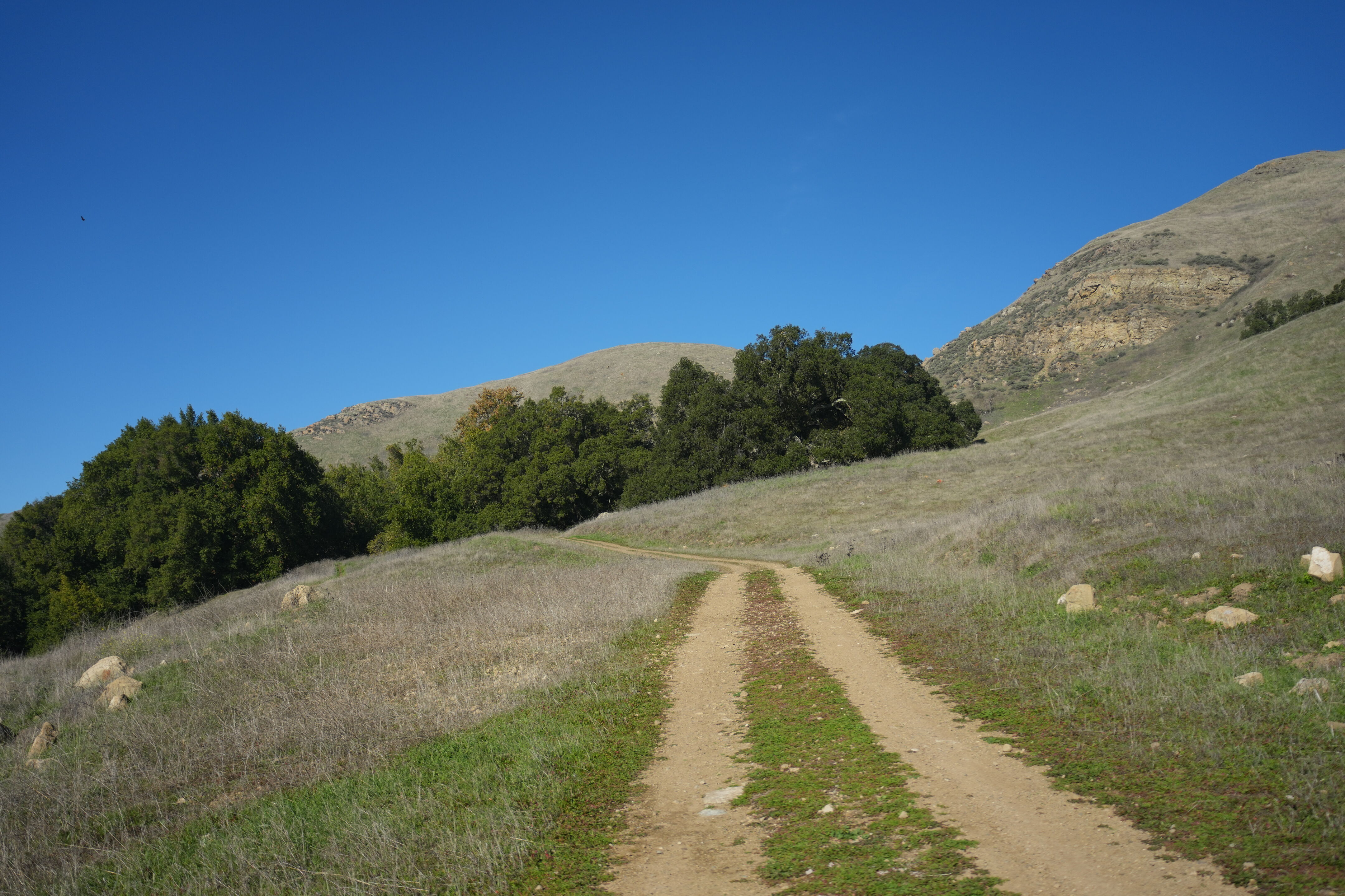 Ed R. Levin County Park