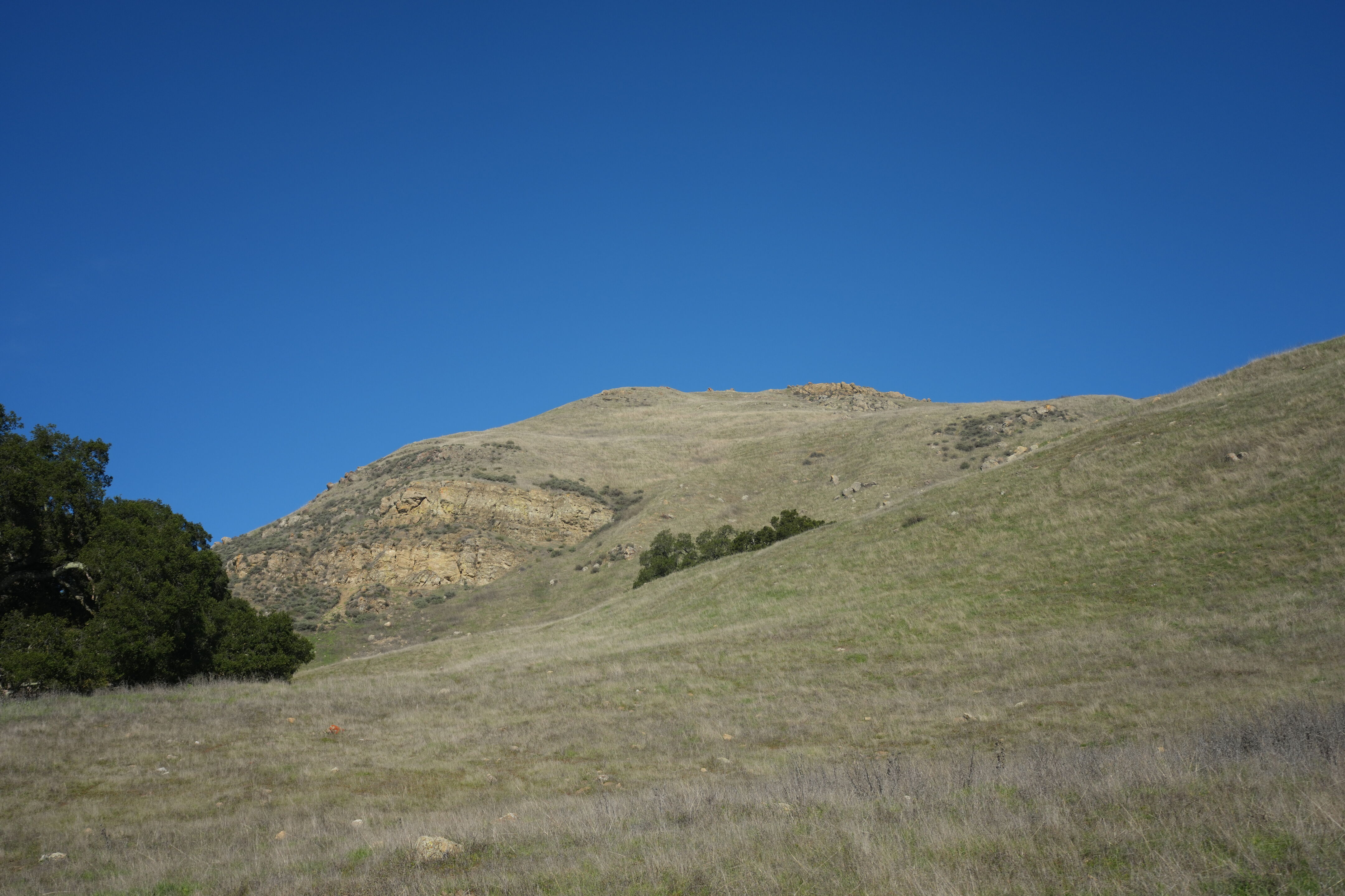 Ed R. Levin County Park