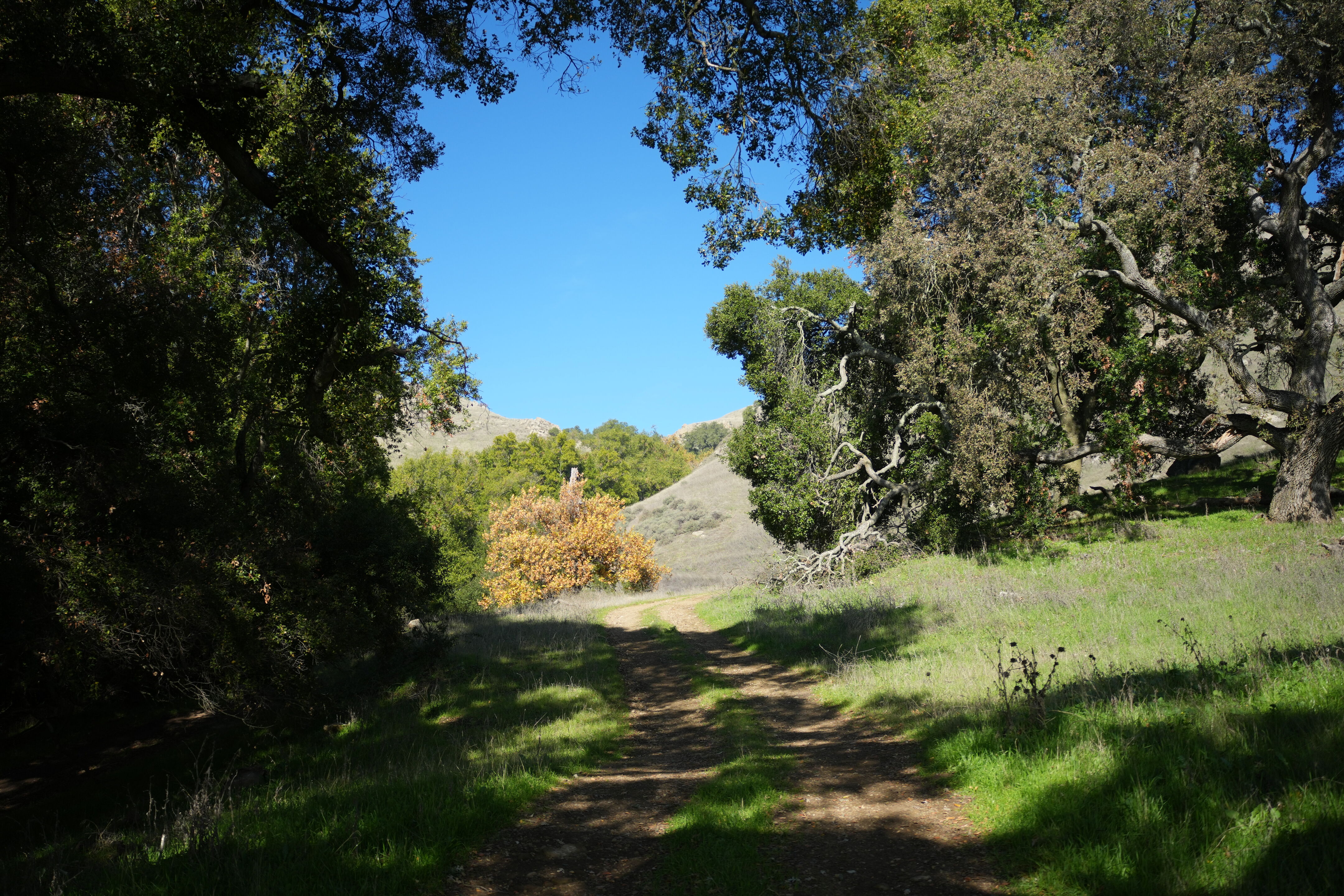 Ed R. Levin County Park