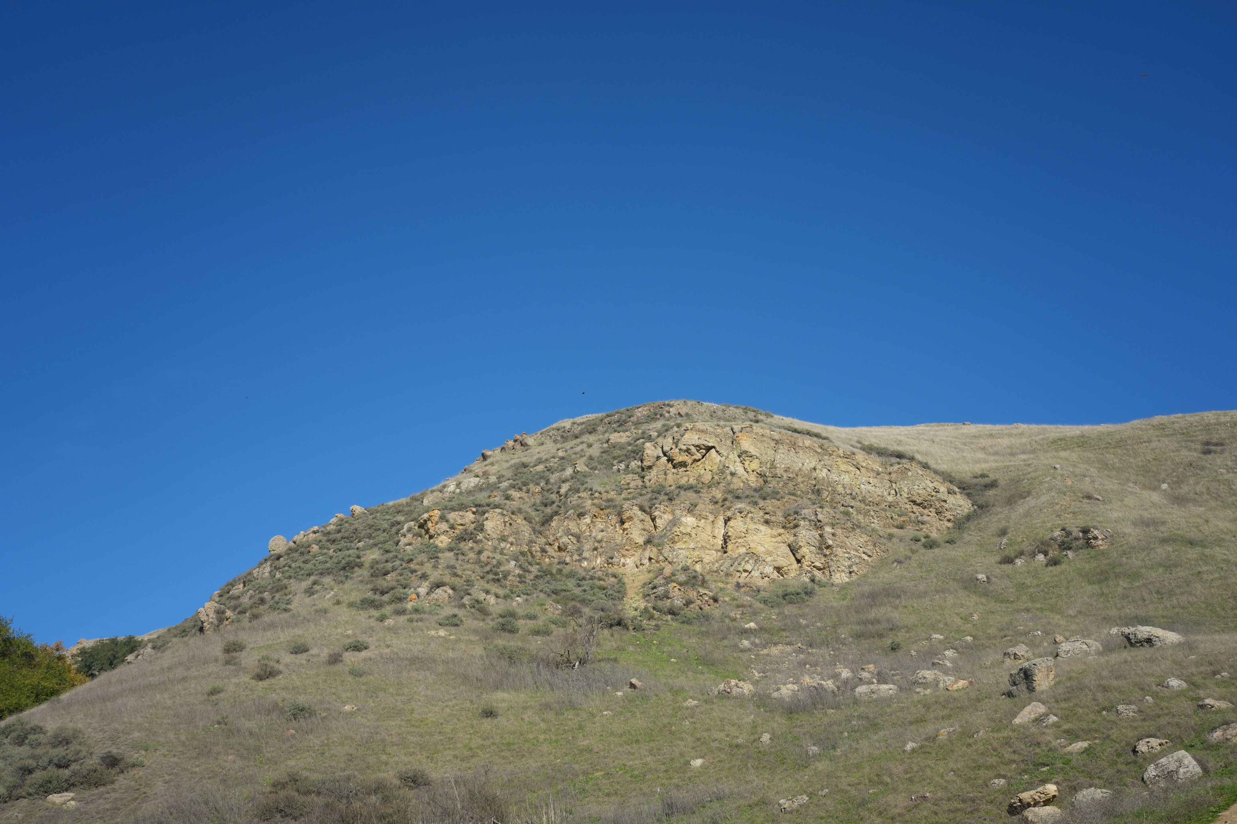 Ed R. Levin County Park
