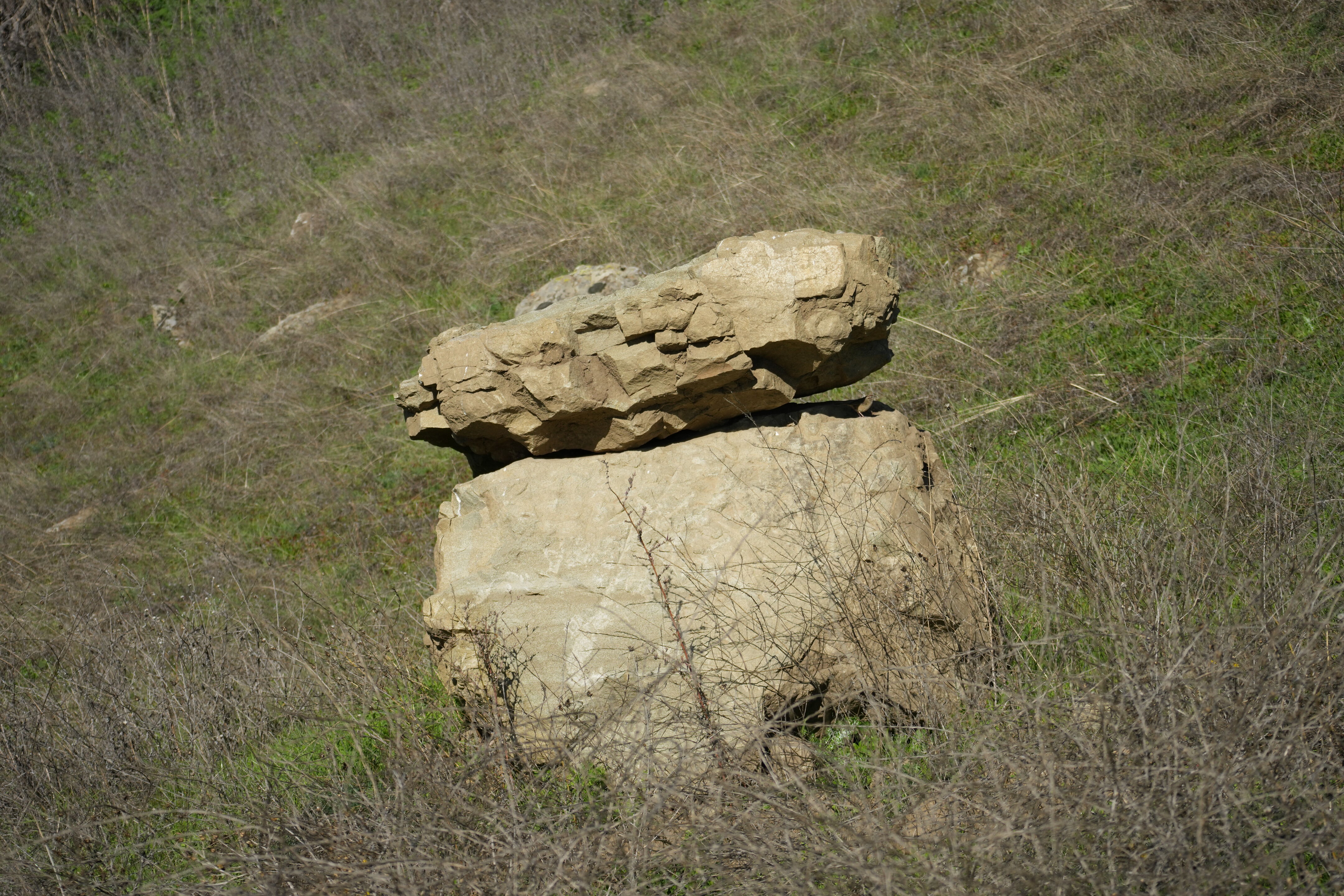 Ed R. Levin County Park