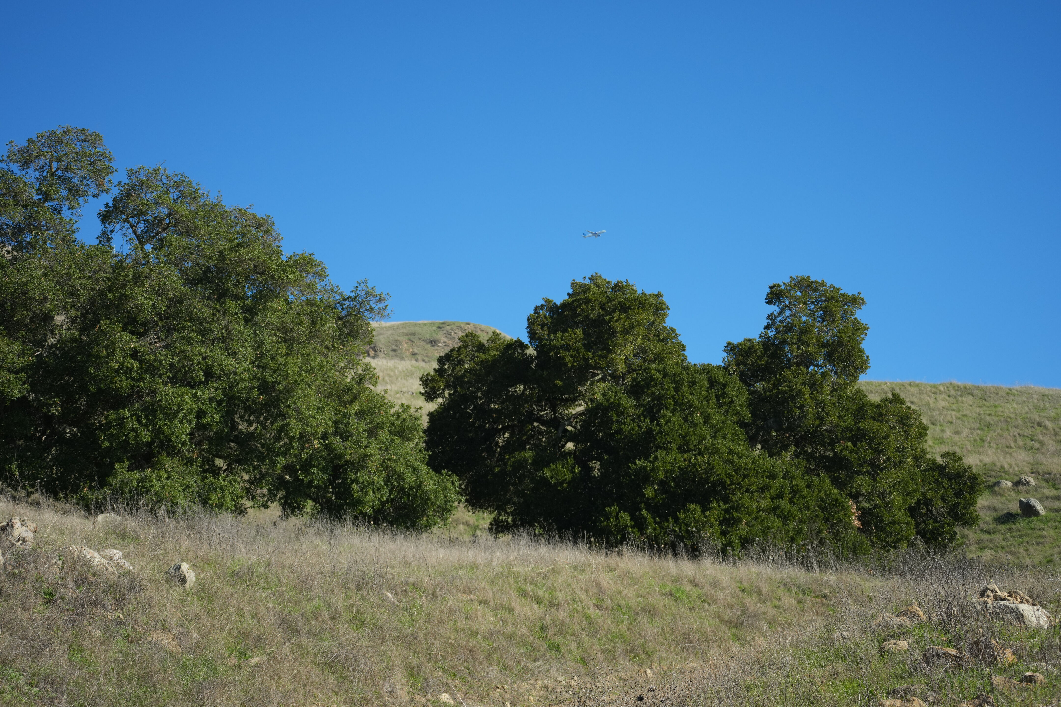 Ed R. Levin County Park