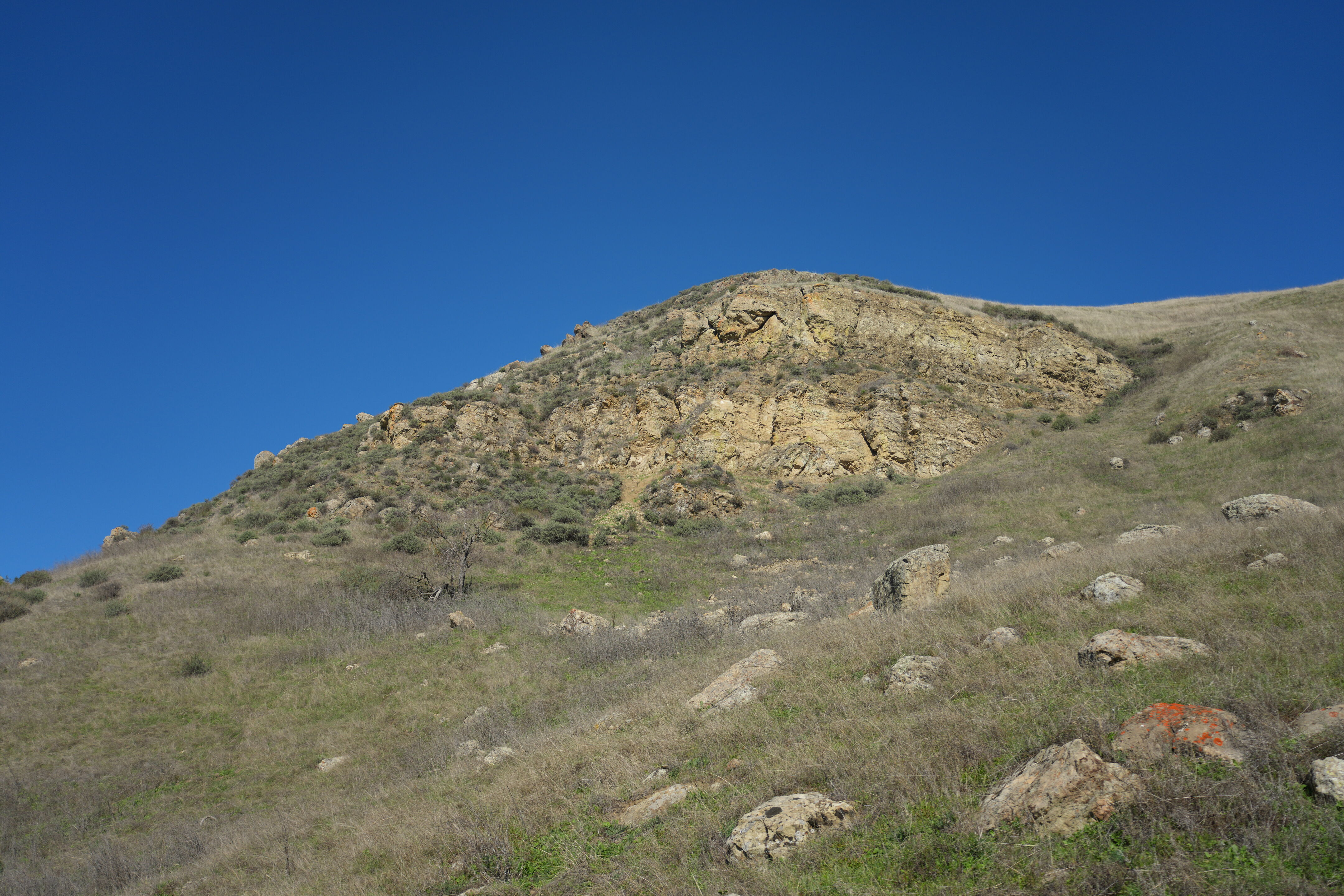 Ed R. Levin County Park