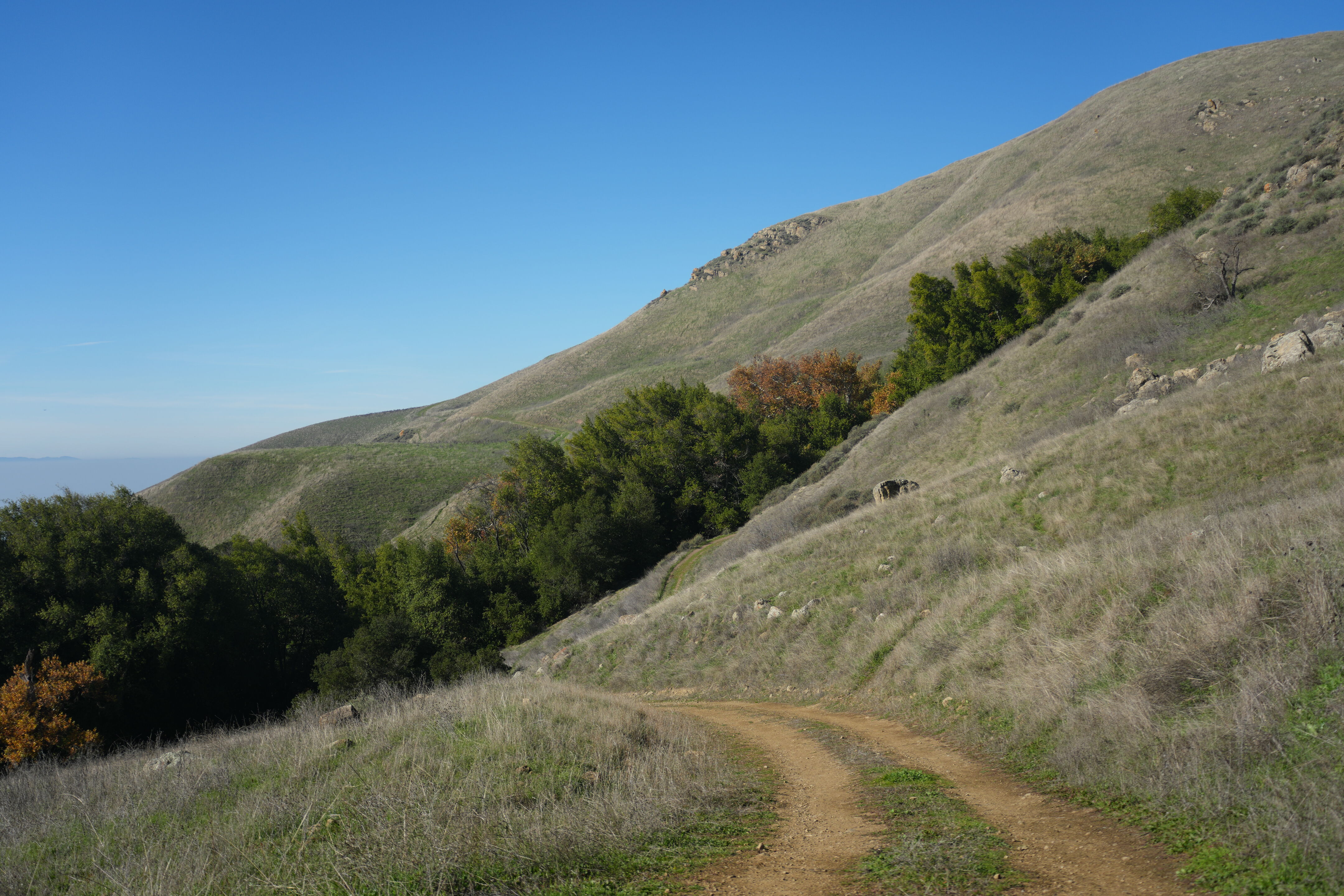 Ed R. Levin County Park