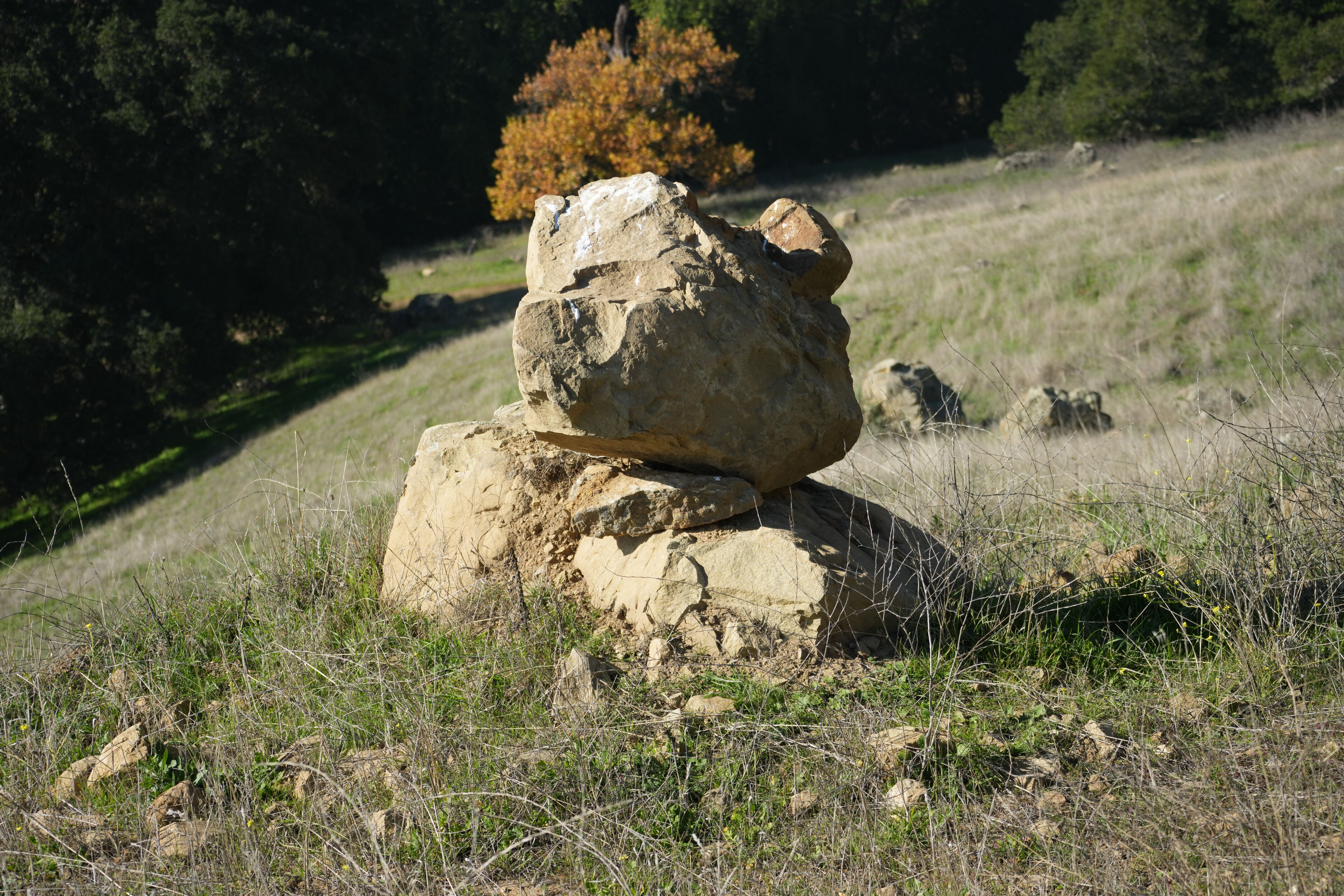 Ed R. Levin County Park