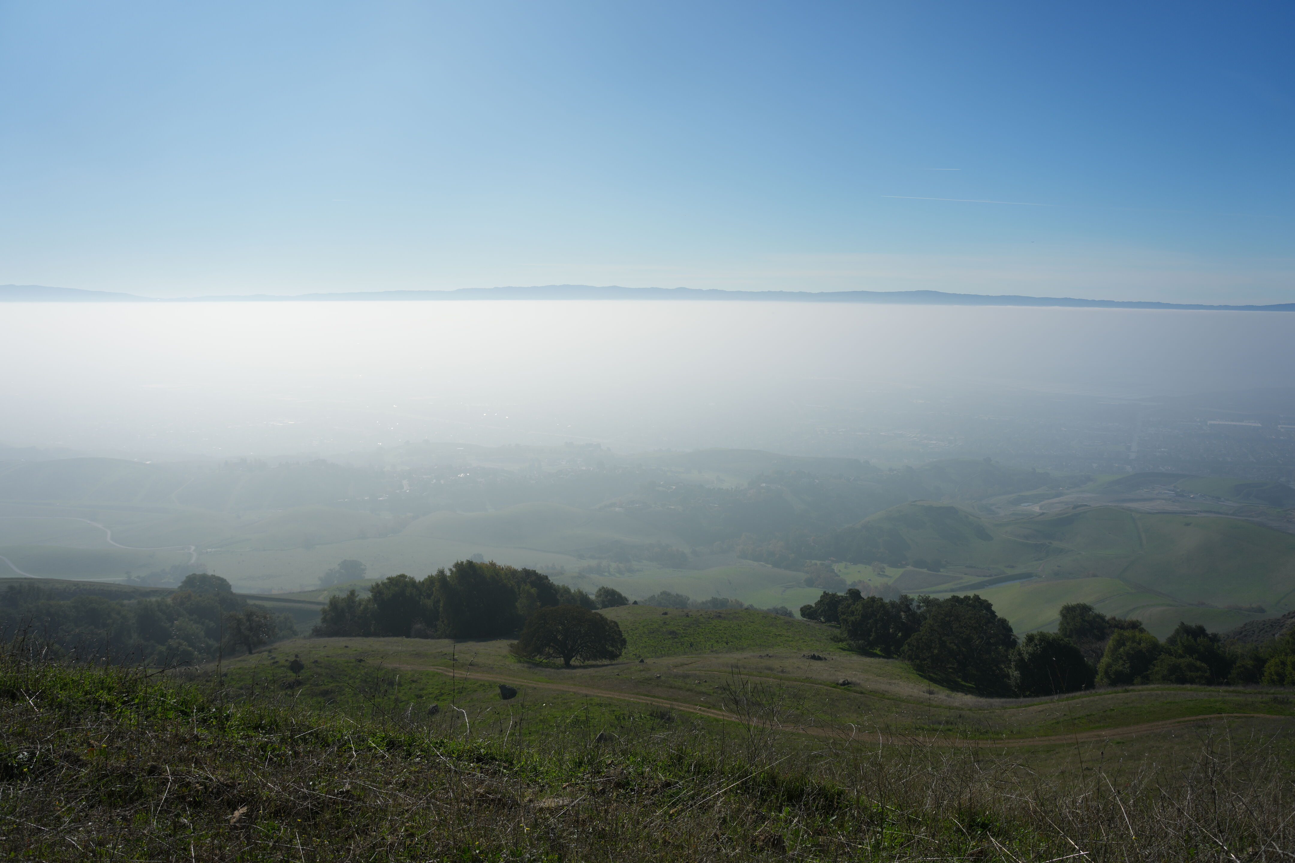 Ed R. Levin County Park