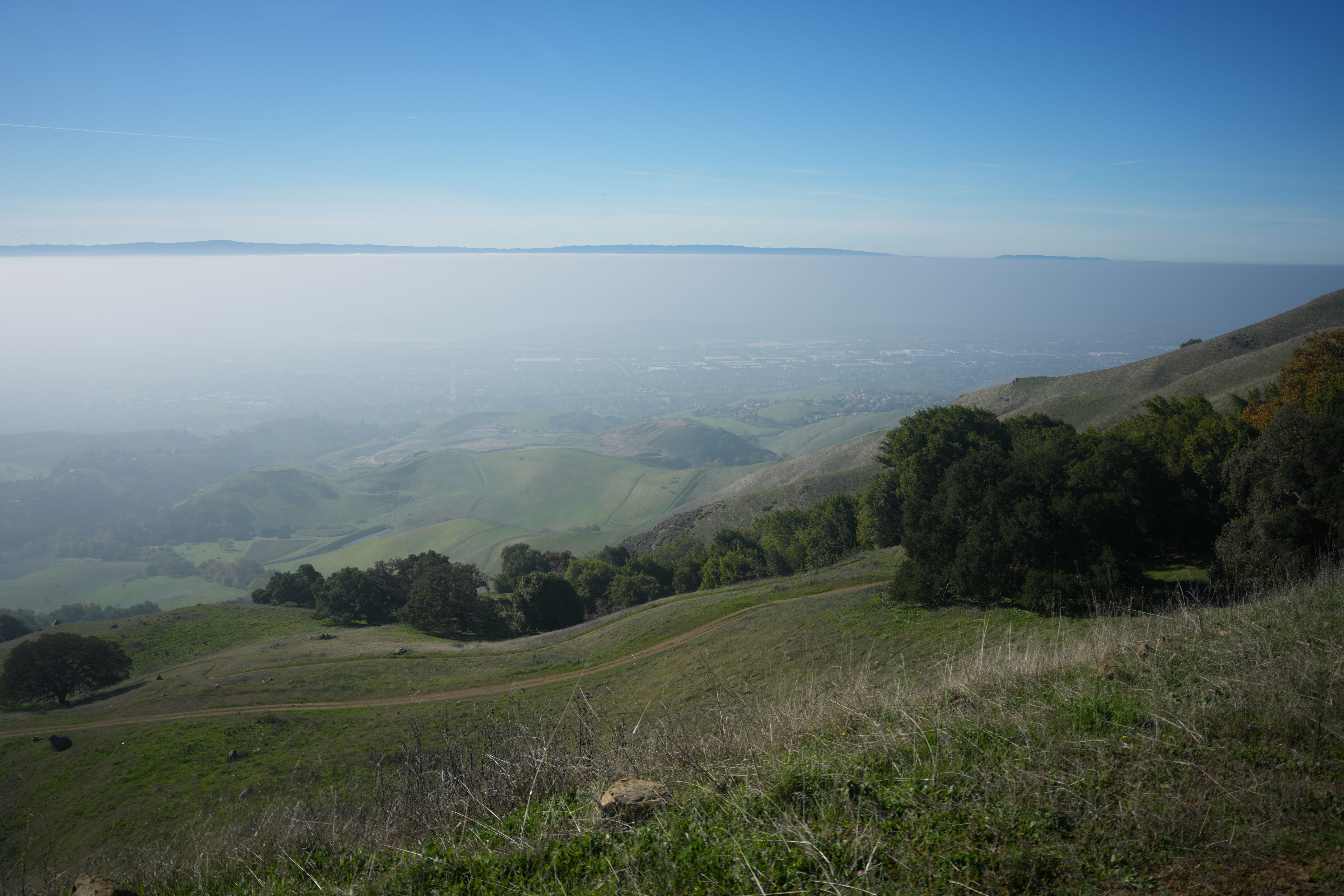 Ed R. Levin County Park