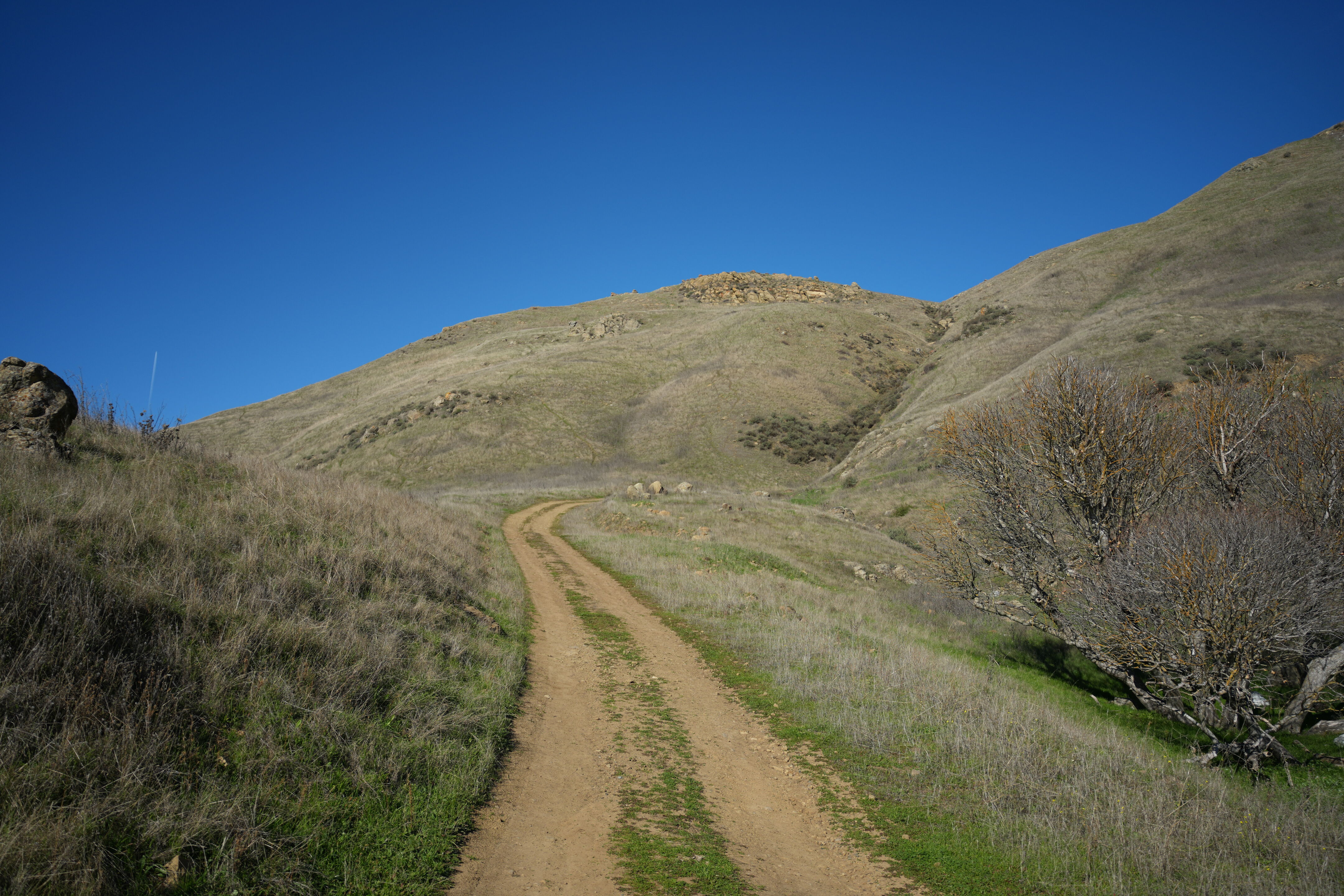 Ed R. Levin County Park